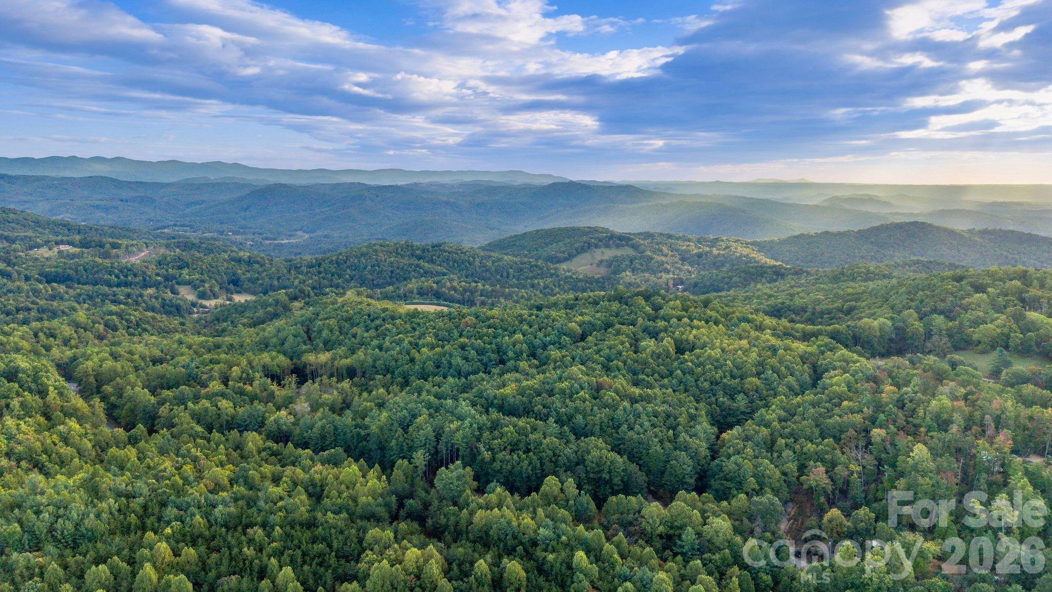 1177 Chestnut Grove Road Property Photo 22
