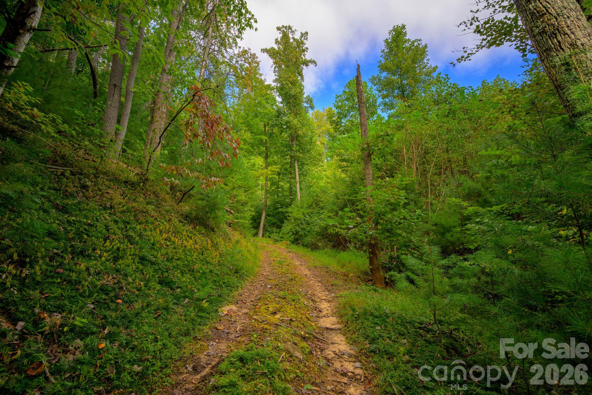 1177 Chestnut Grove Road Property Photo 45