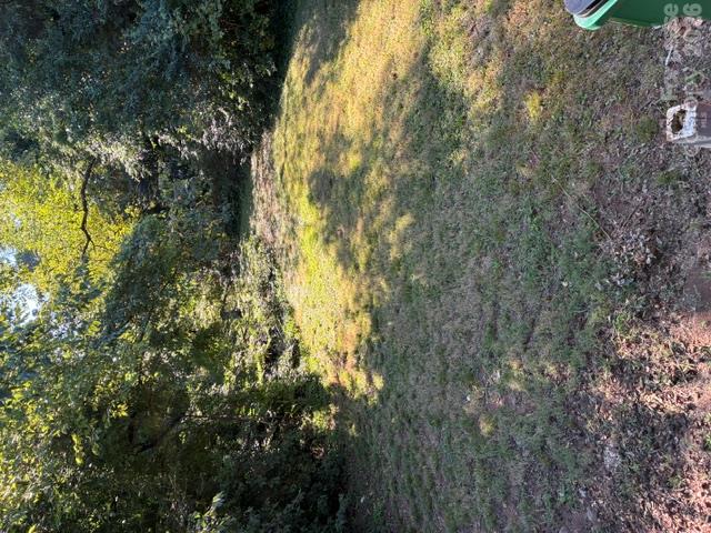 2520 Bancroft Street Property Photo 9