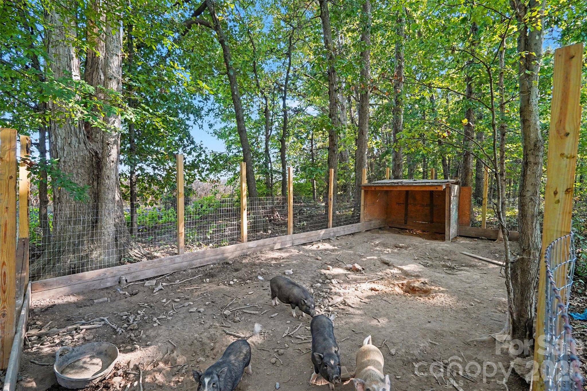 20538 Running Creek Church Road Property Photo 27