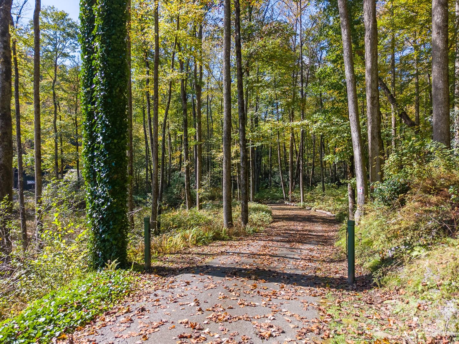 7810 Little Snowbird Road Property Photo 39