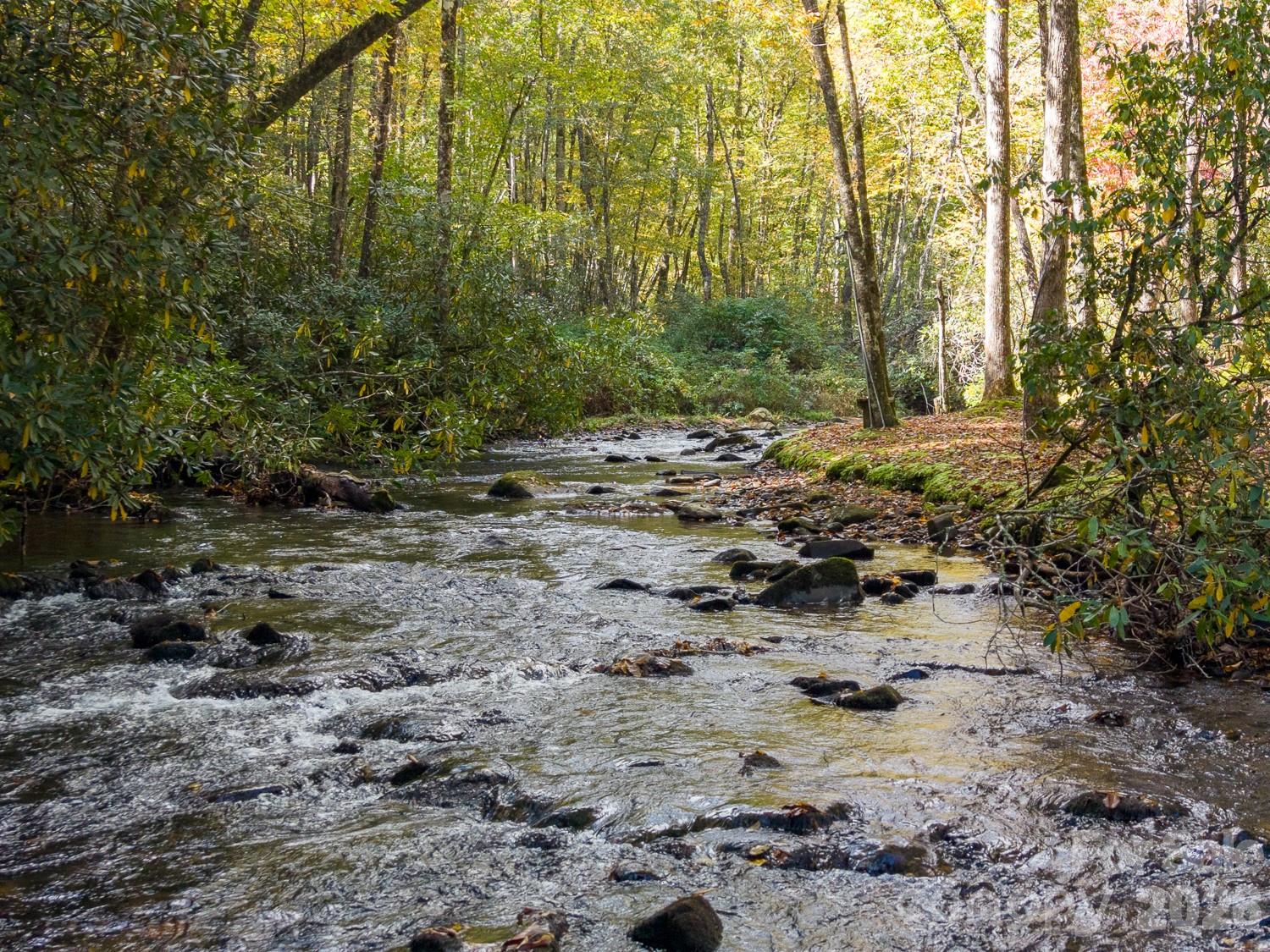 7810 Little Snowbird Road Property Photo 45