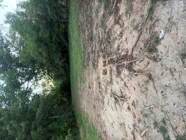1159 Sanders Street Property Photo 2