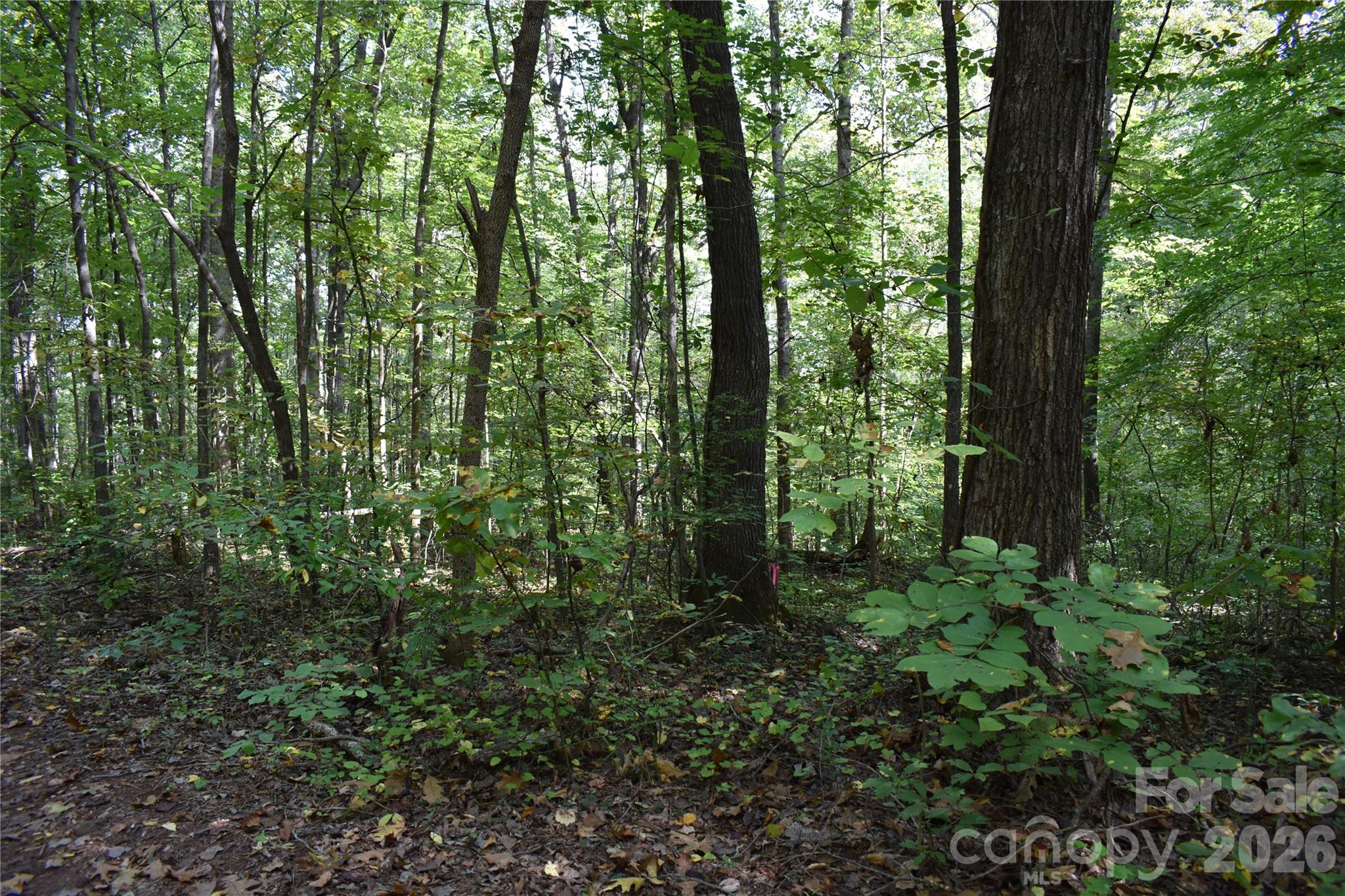 #167 Rolling Road Property Photo 1