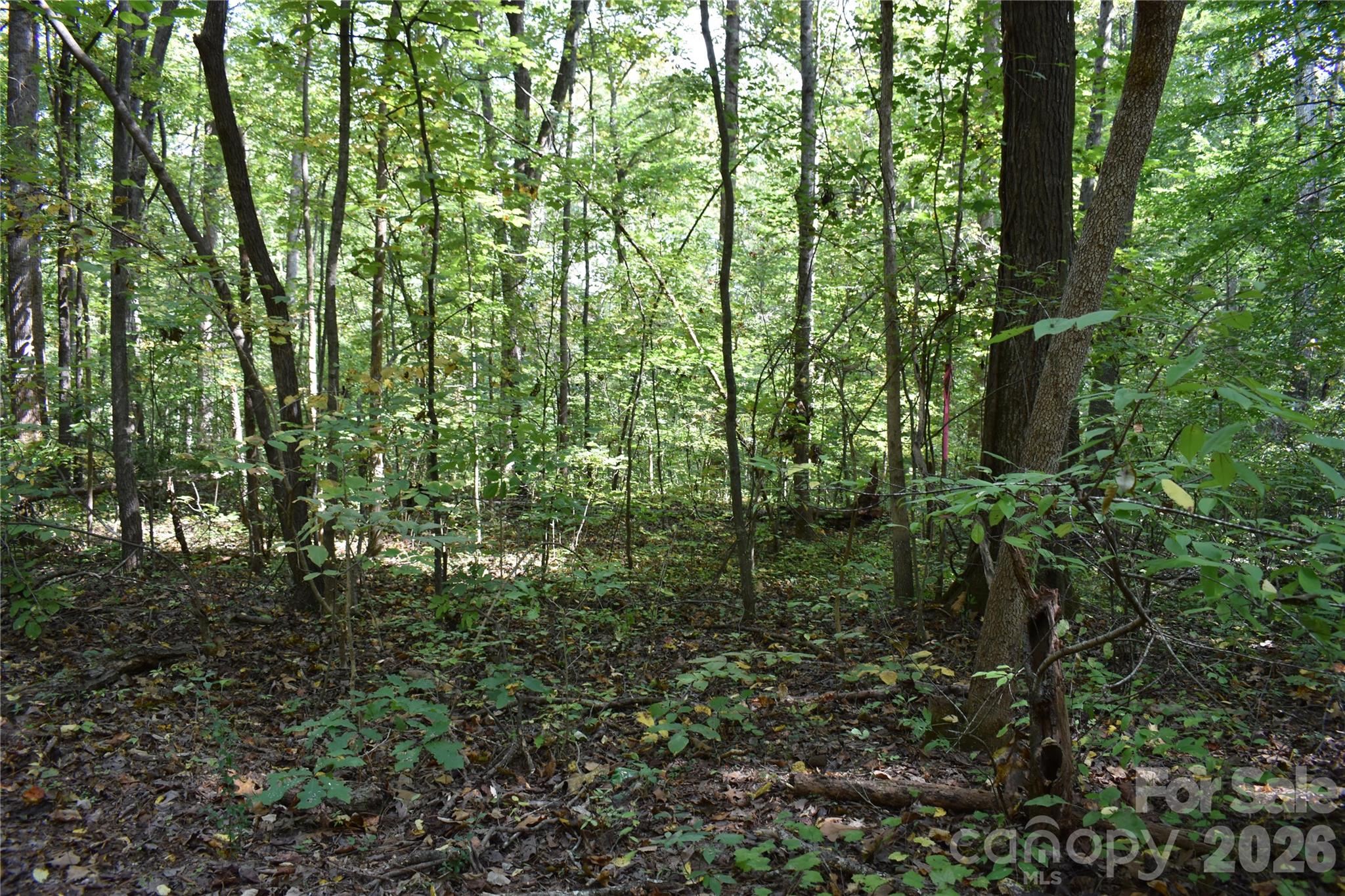 #167 Rolling Road Property Photo 2