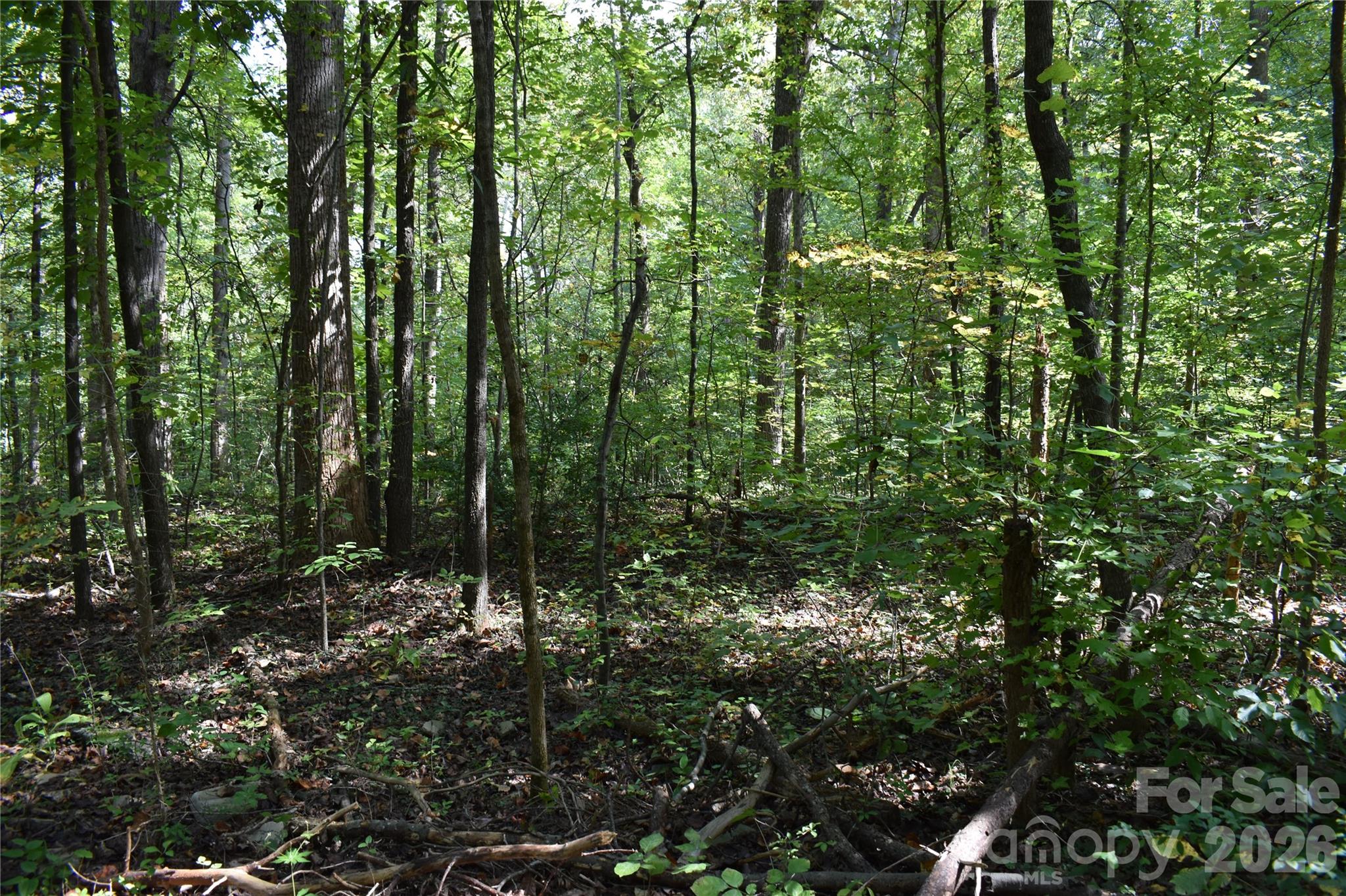 #167 Rolling Road Property Photo 3