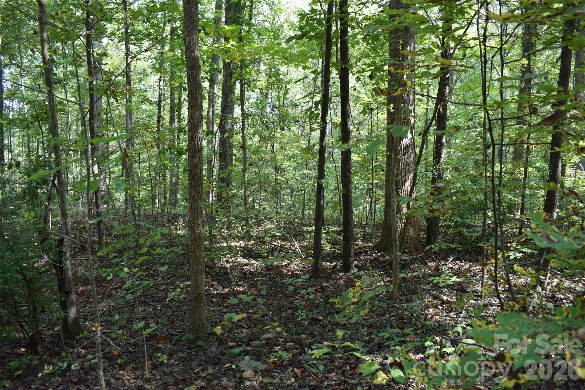 #167 Rolling Road Property Photo 4