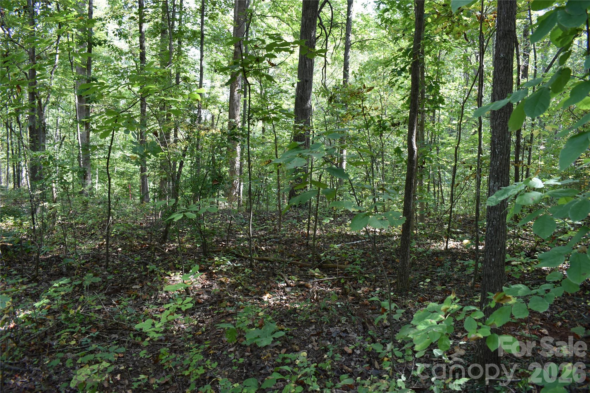 #167 Rolling Road Property Photo 5