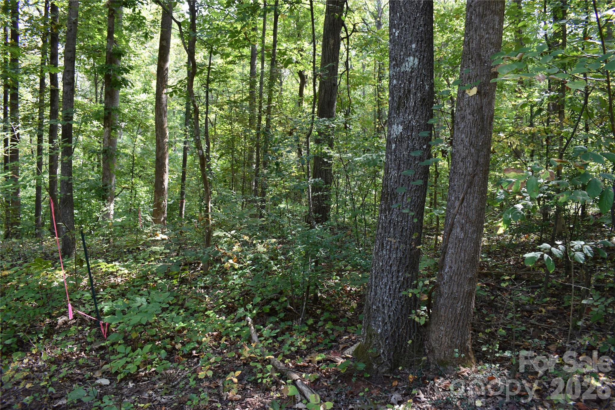 #167 Rolling Road Property Photo 6