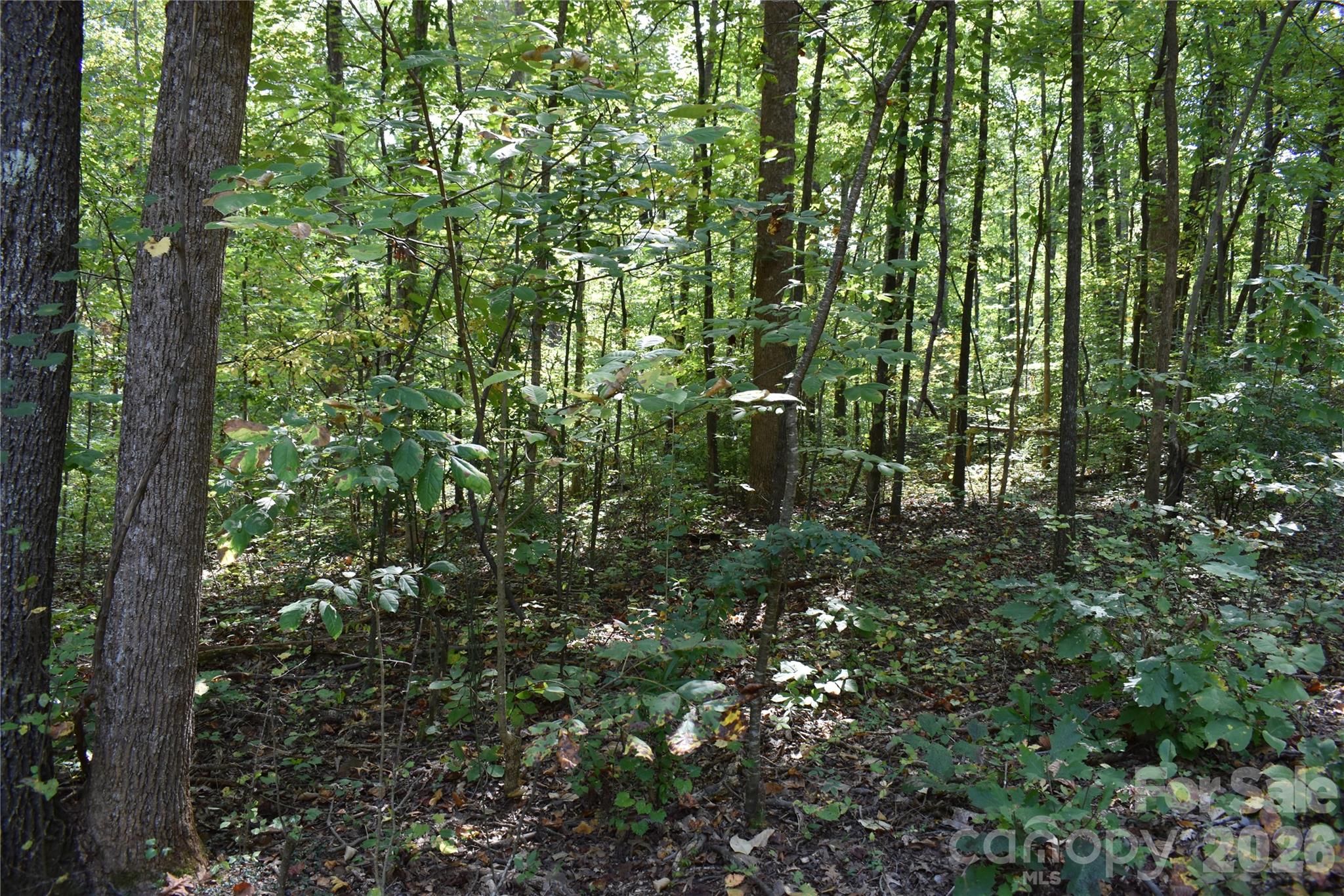 #167 Rolling Road Property Photo 7