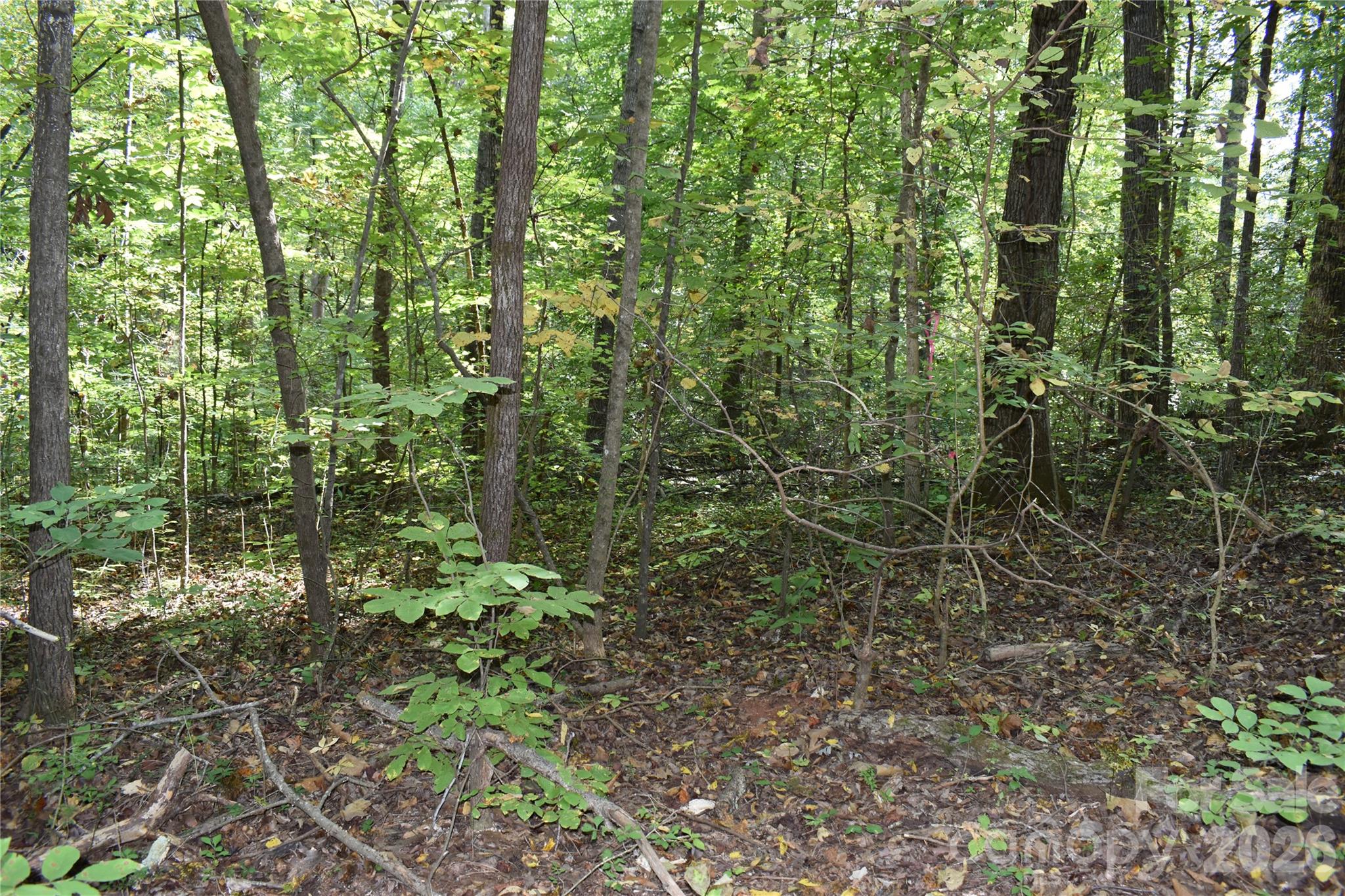 #167 Rolling Road Property Photo 8
