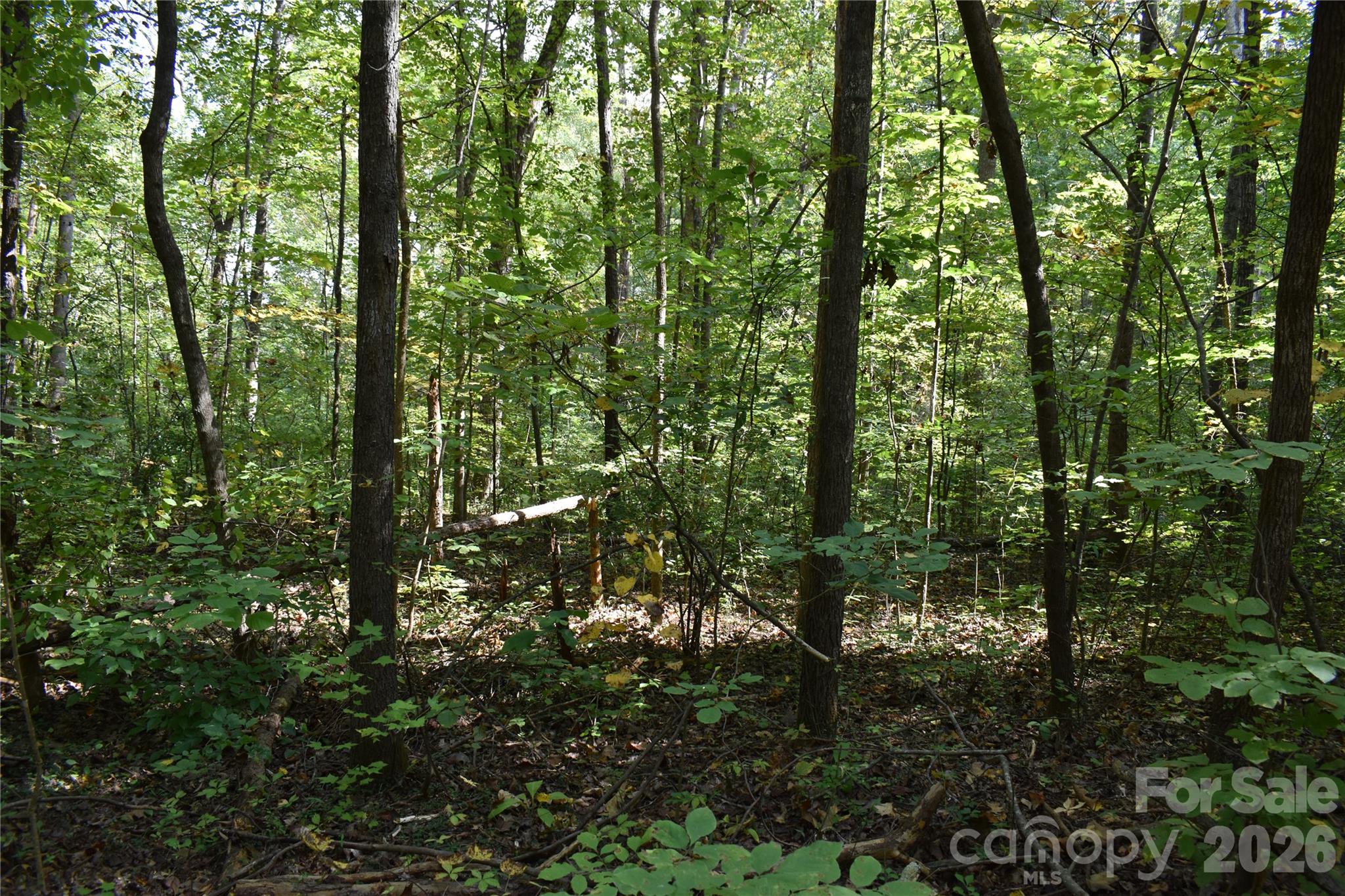 #167 Rolling Road Property Photo 9