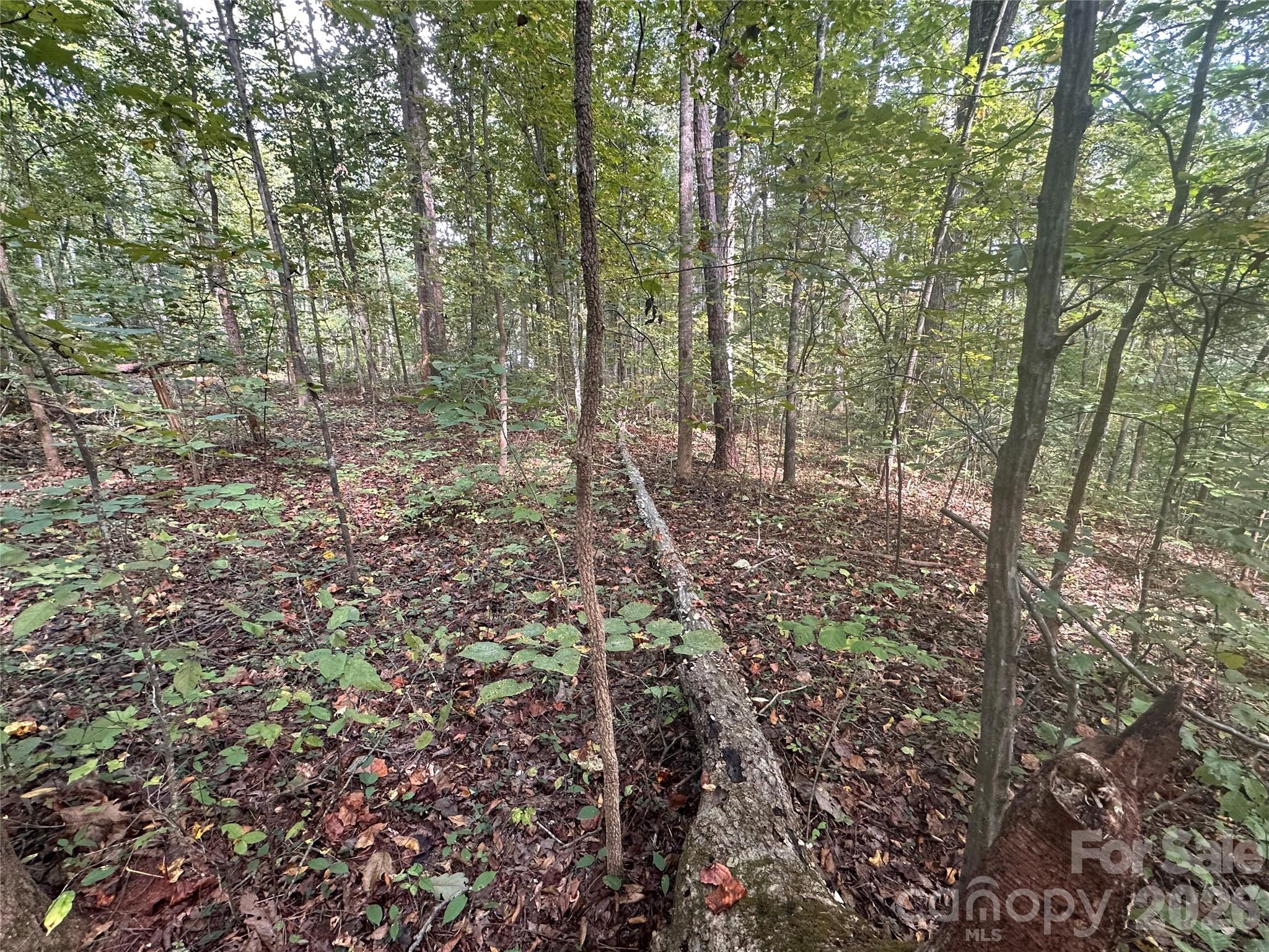 #167 Rolling Road Property Photo 10