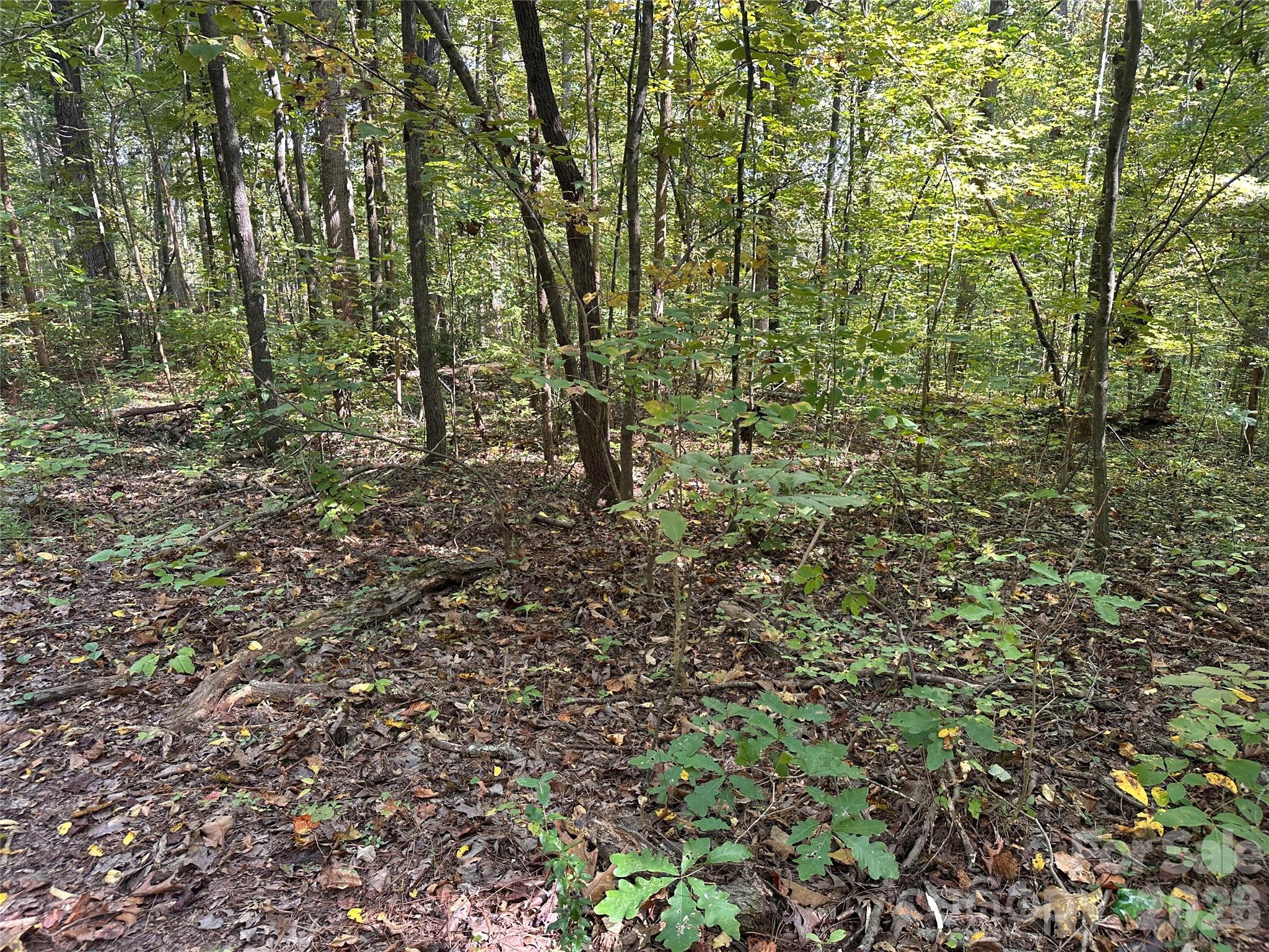 #167 Rolling Road Property Photo 11