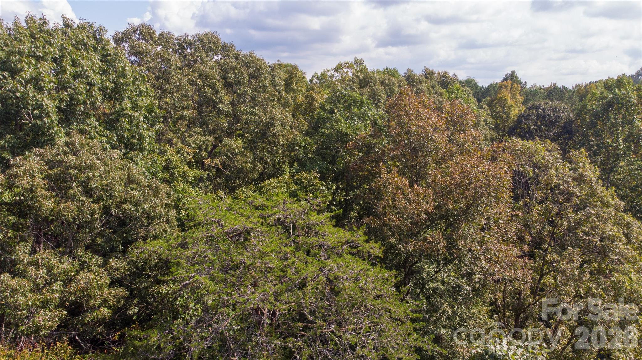 #167 Rolling Road Property Photo 13
