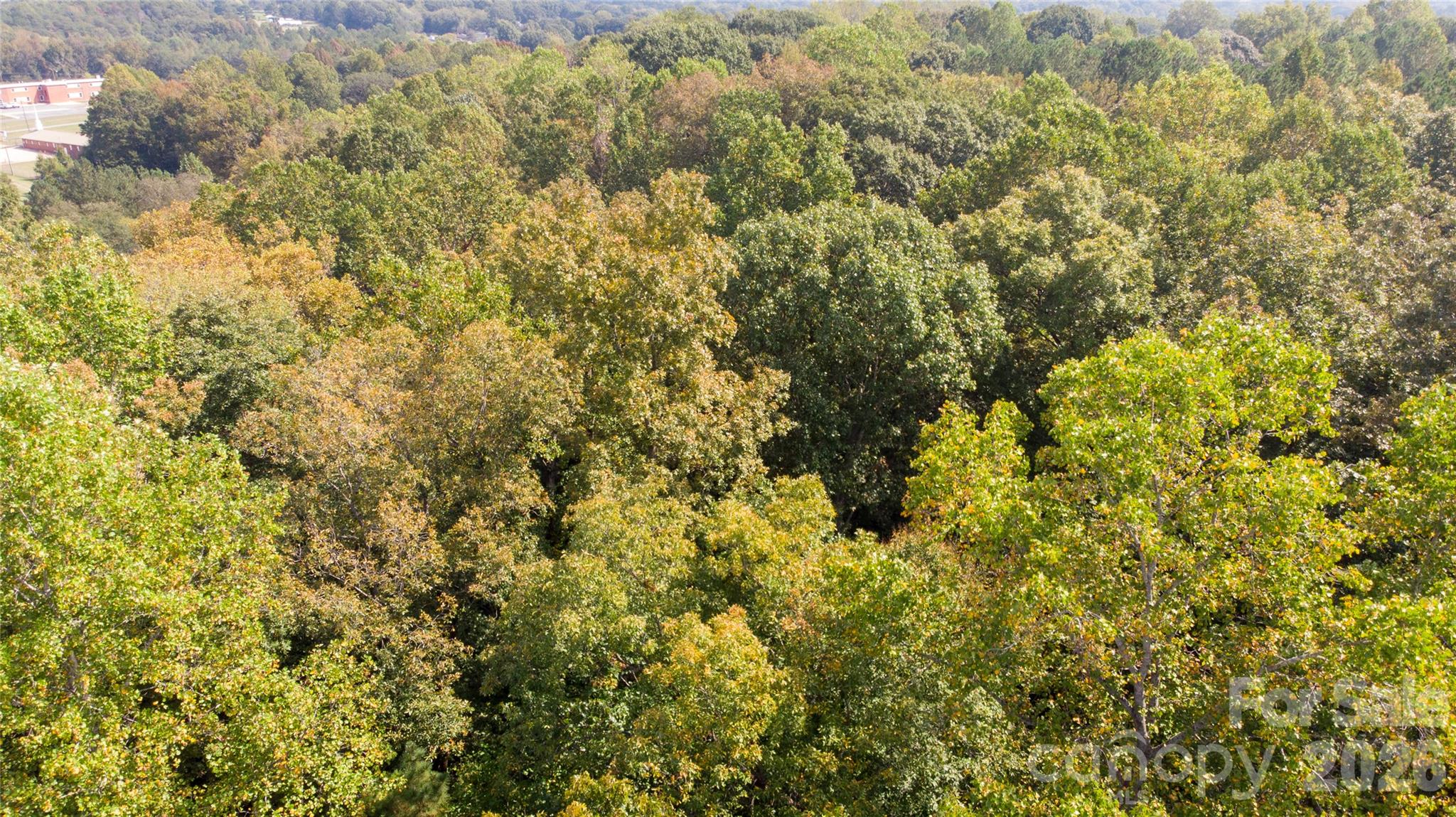 #167 Rolling Road Property Photo 16