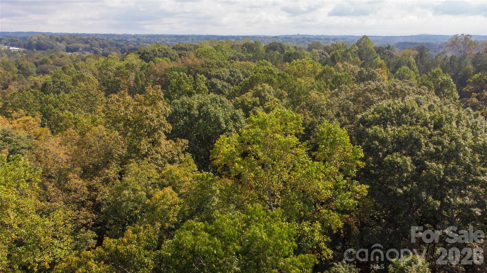 #167 Rolling Road Property Photo 18