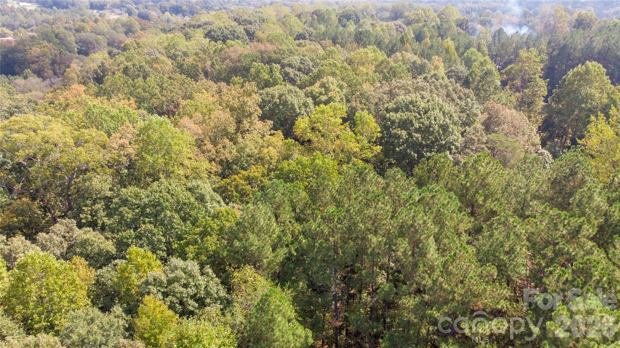 #167 Rolling Road Property Photo 20