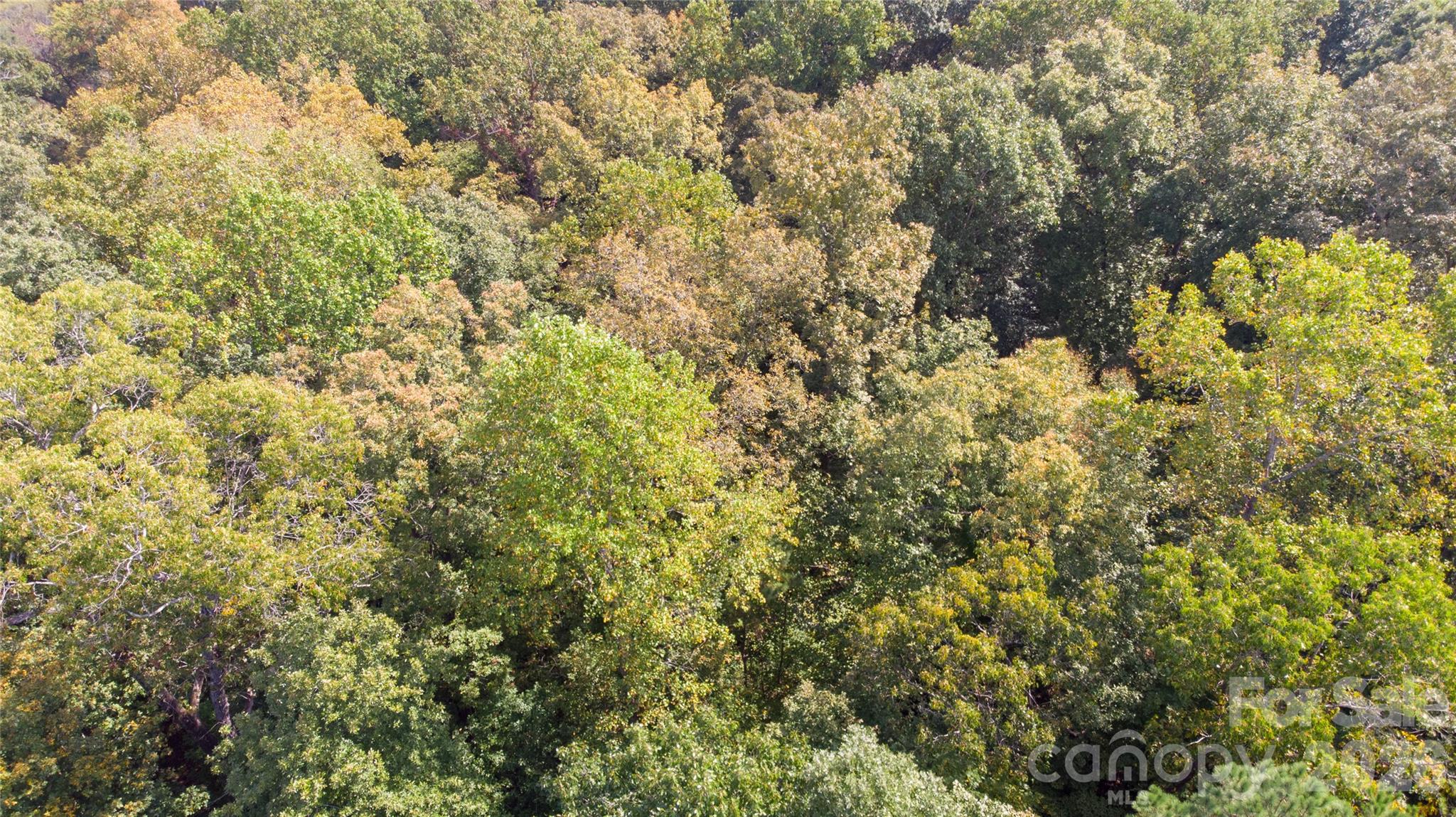#167 Rolling Road Property Photo 22