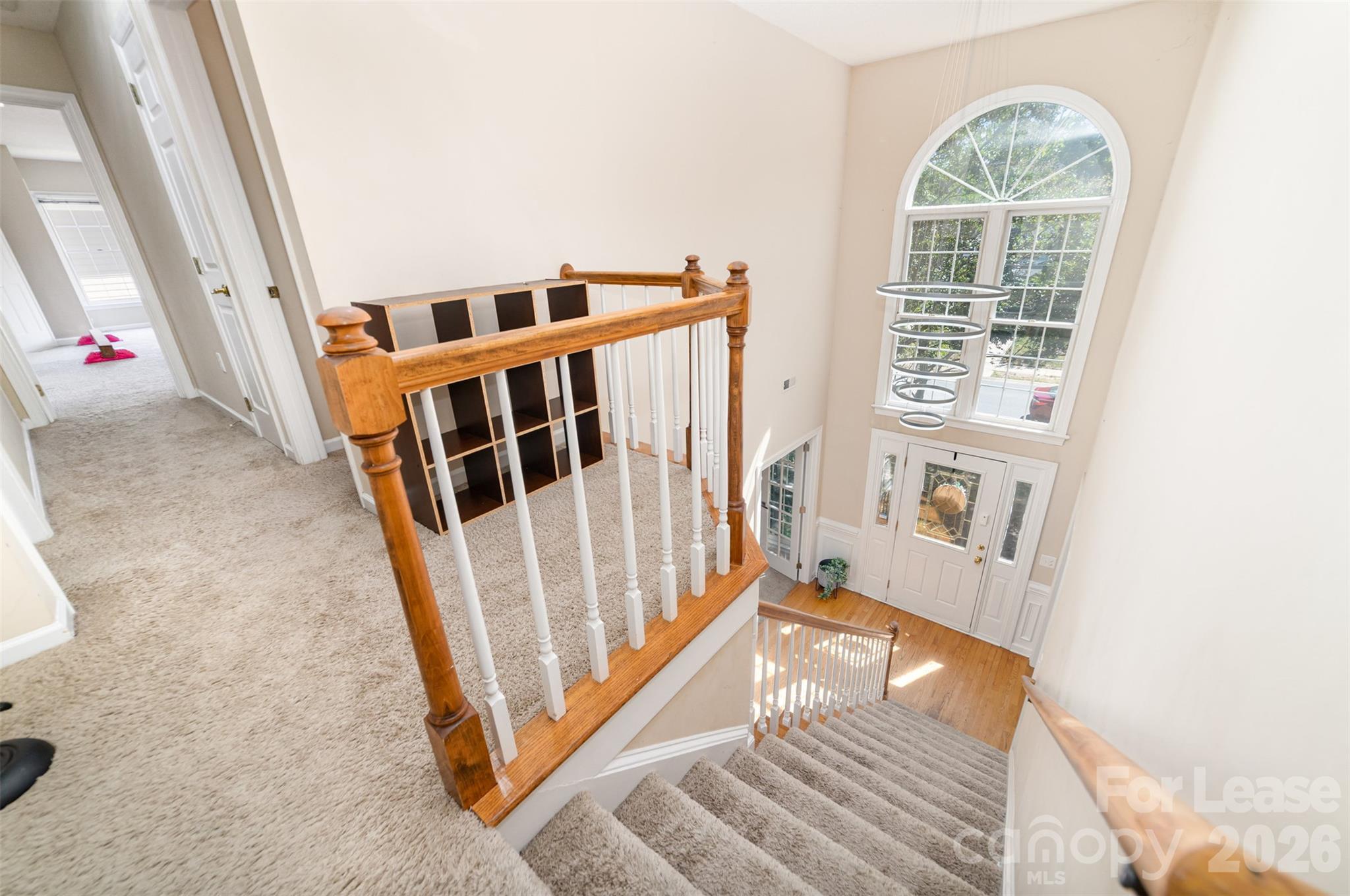 6401 Morningsong Lane Property Photo 23