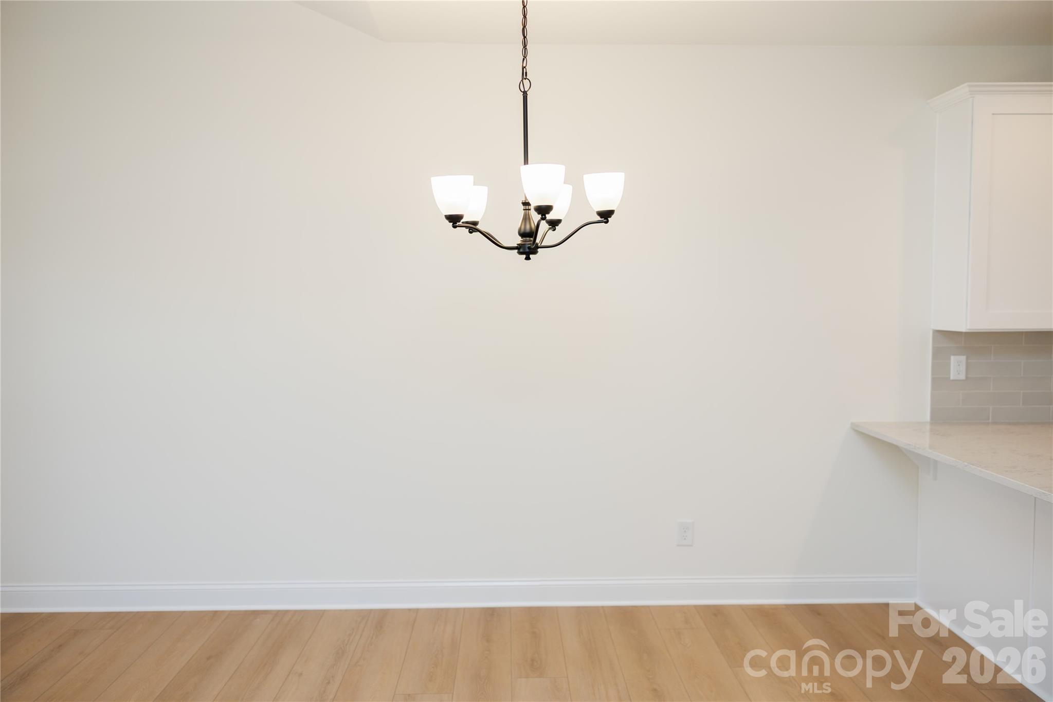 107 Abbington Lane Property Photo 8
