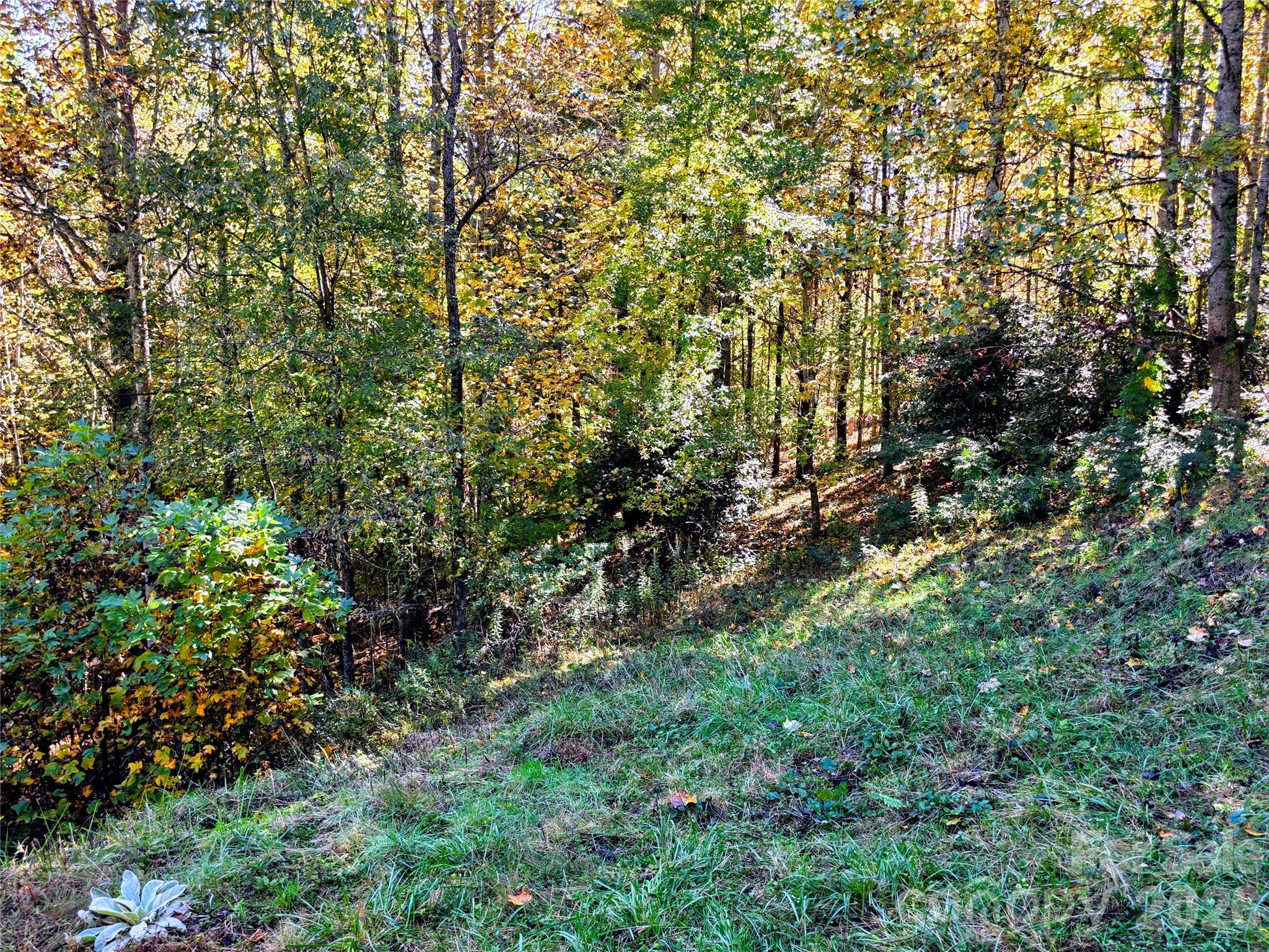 105 Poplar Ridge Lane 59 And 60 Property Photo 16