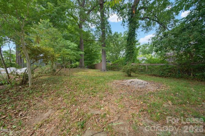 1229 Norris Street Property Photo 14