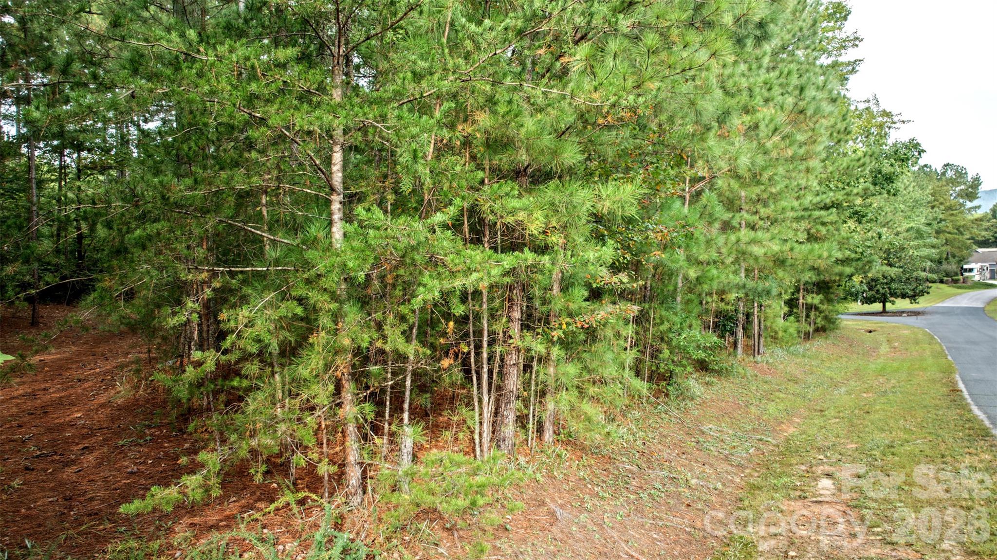 0 River Park Lane Property Photo 9