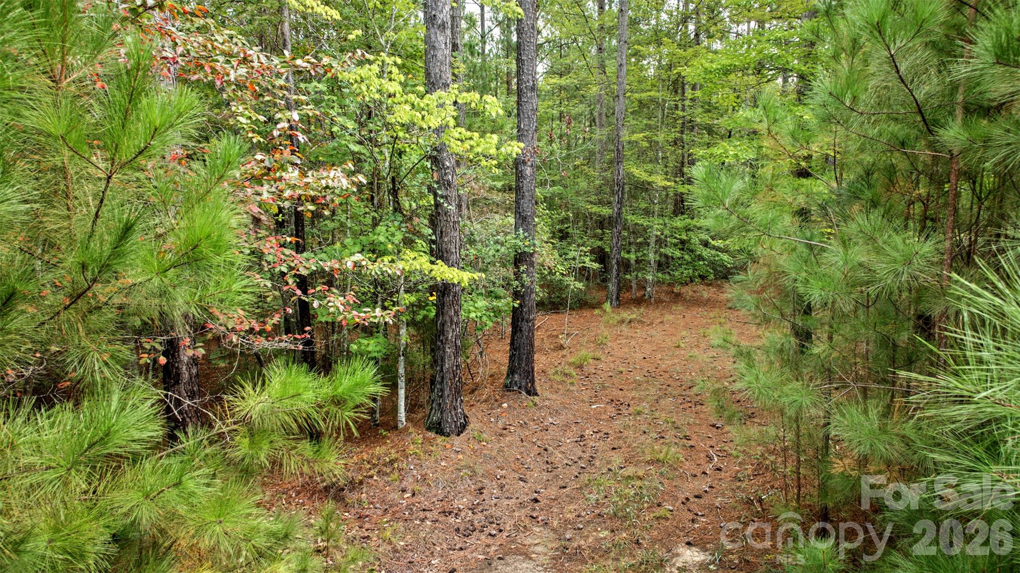0 River Park Lane Property Photo 11