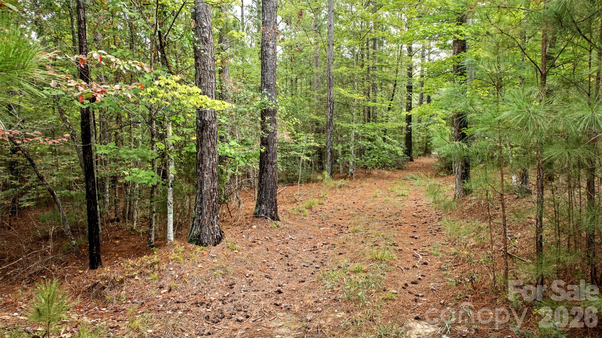 0 River Park Lane Property Photo 12