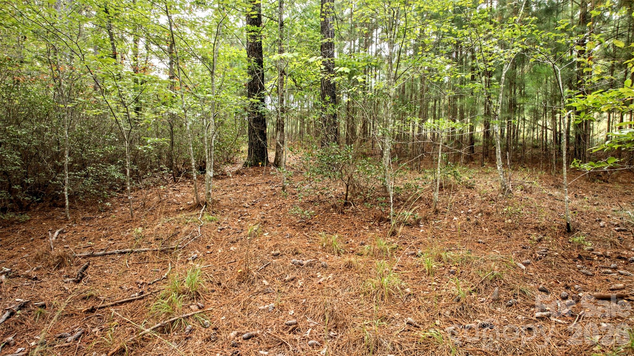 0 River Park Lane Property Photo 14