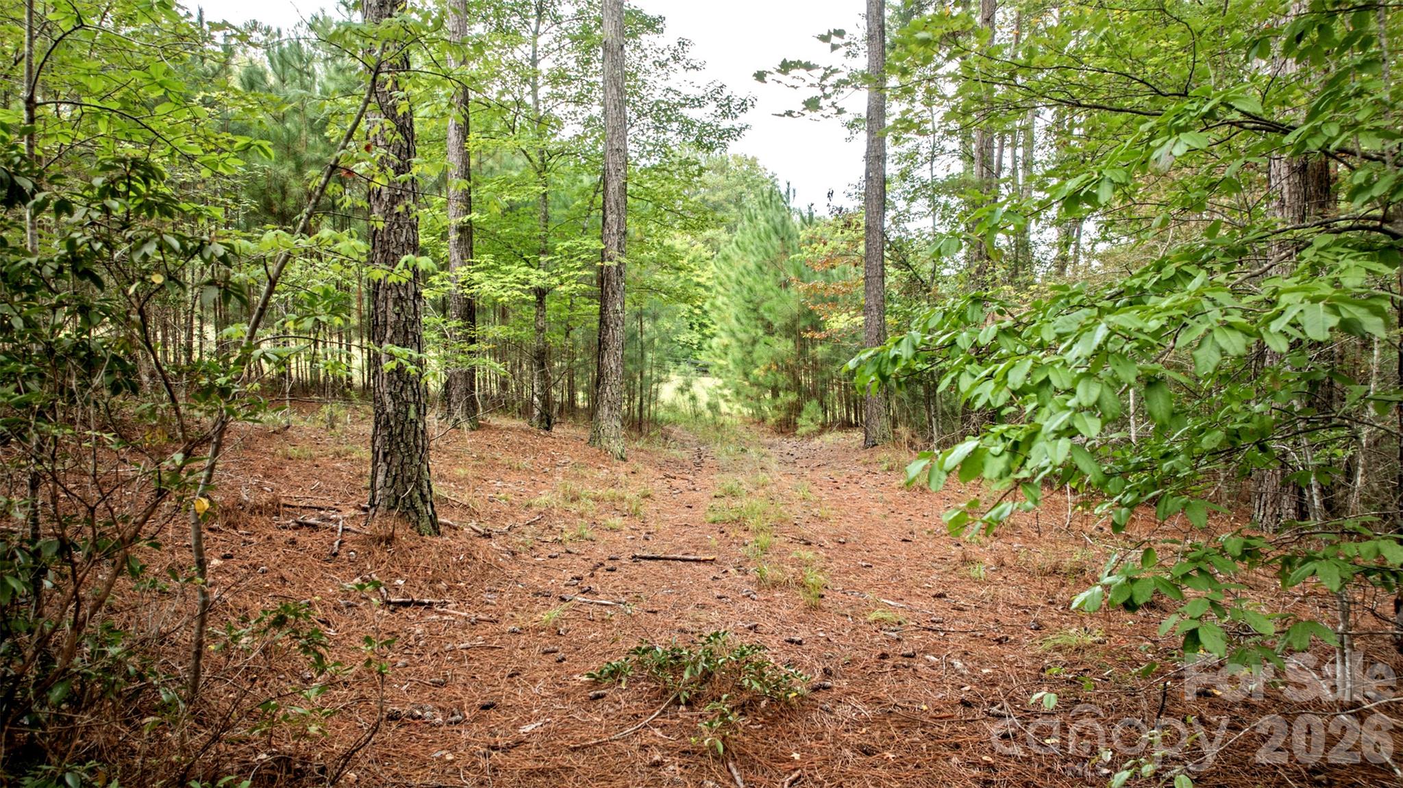 0 River Park Lane Property Photo 16