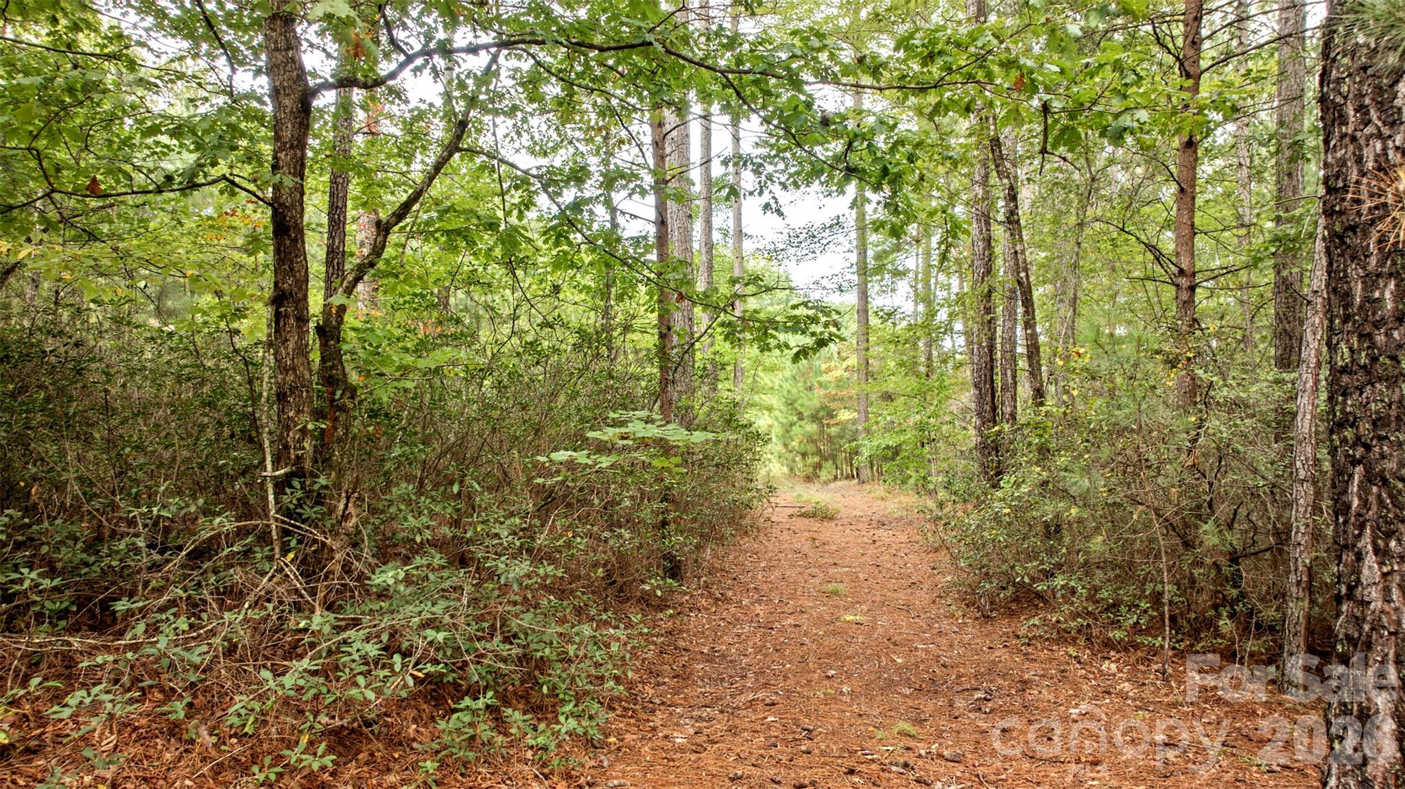 0 River Park Lane Property Photo 18