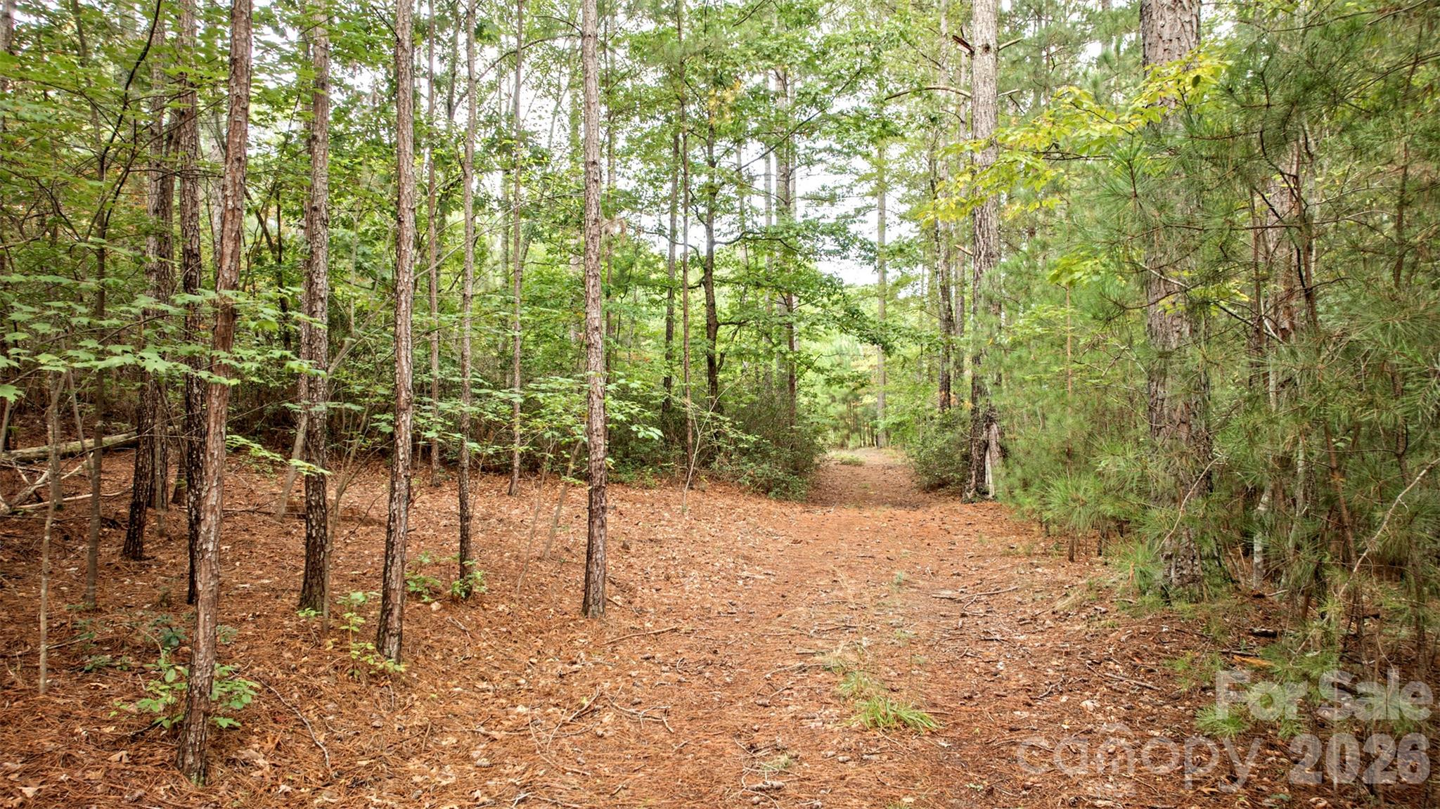 0 River Park Lane Property Photo 19