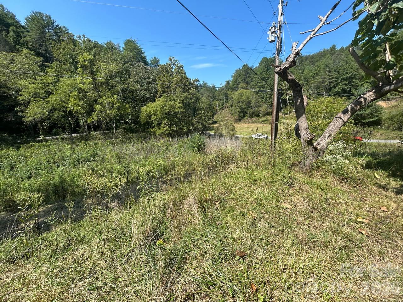 2635 Lower Gabriels Creek Road Property Photo 3