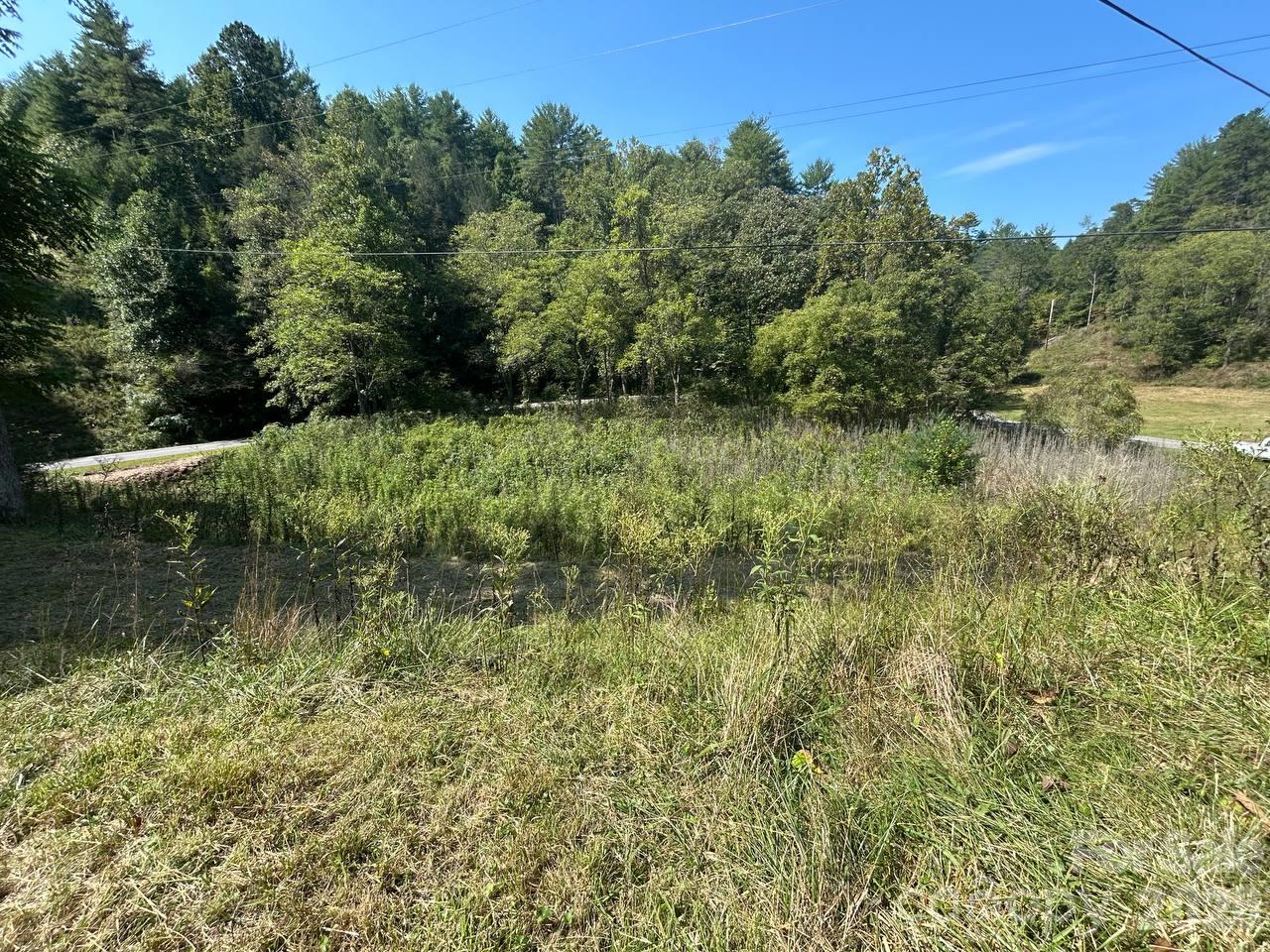 2635 Lower Gabriels Creek Road Property Photo 4