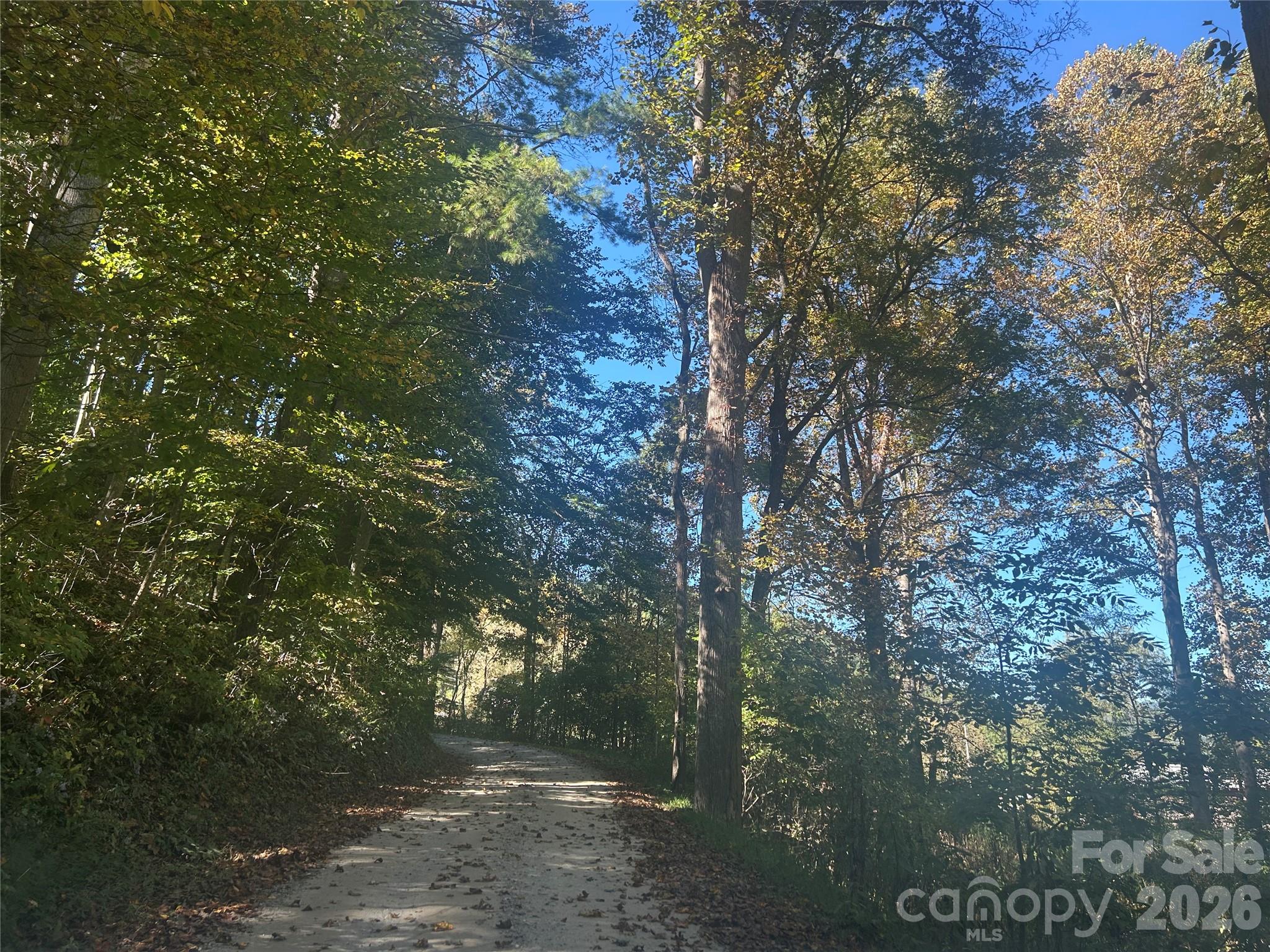 00 Split Pine Cove Property Photo 1