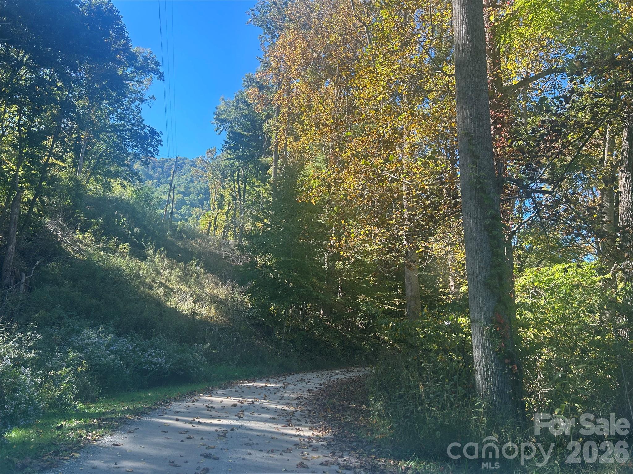 00 Split Pine Cove Property Photo 2