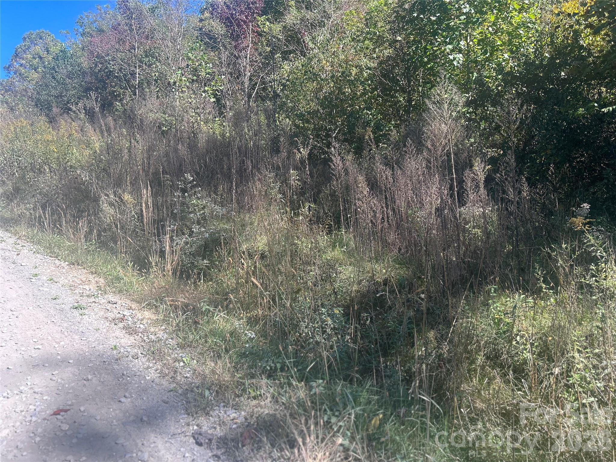 00 Split Pine Cove Property Photo 3