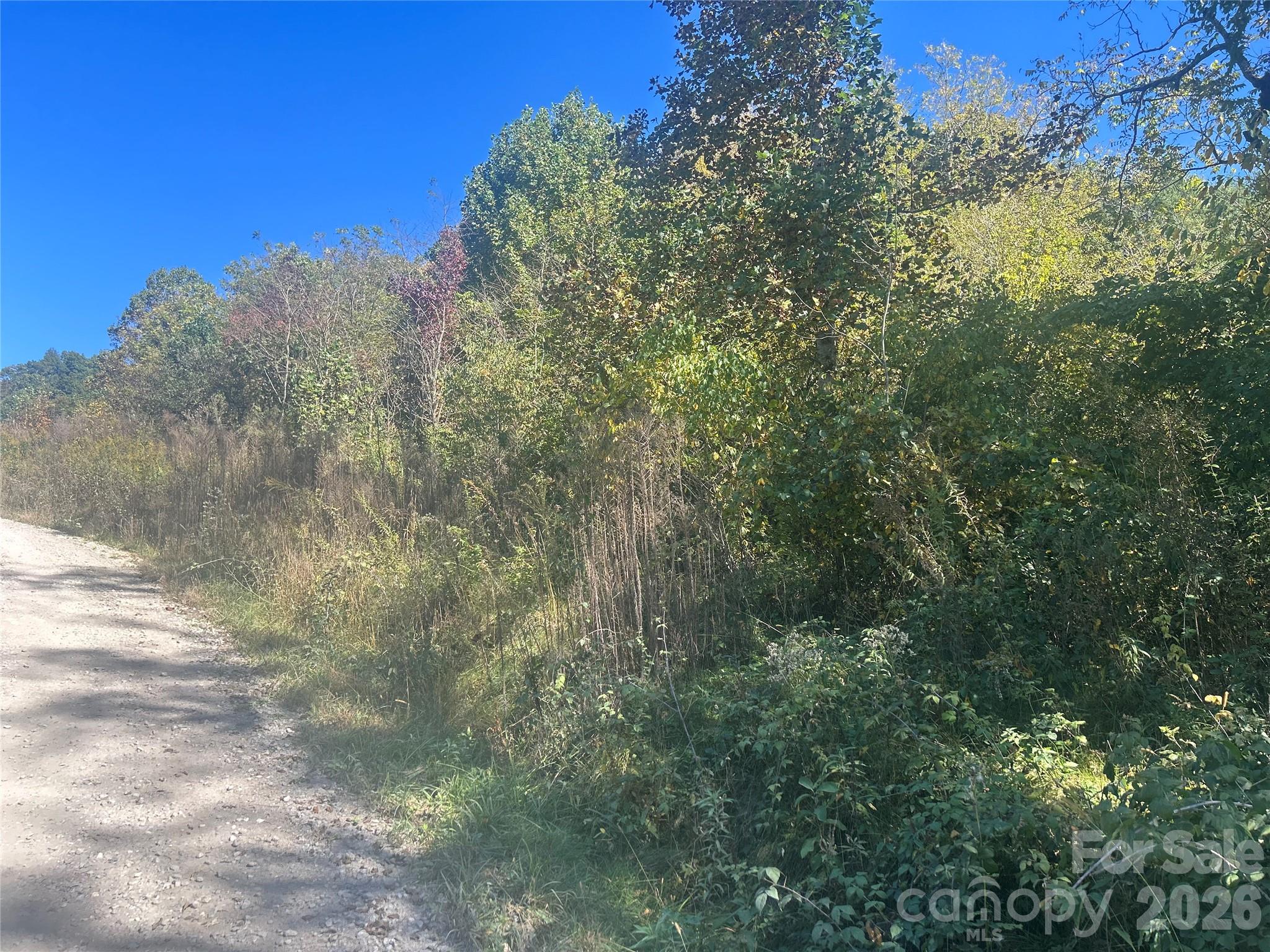 00 Split Pine Cove Property Photo 4