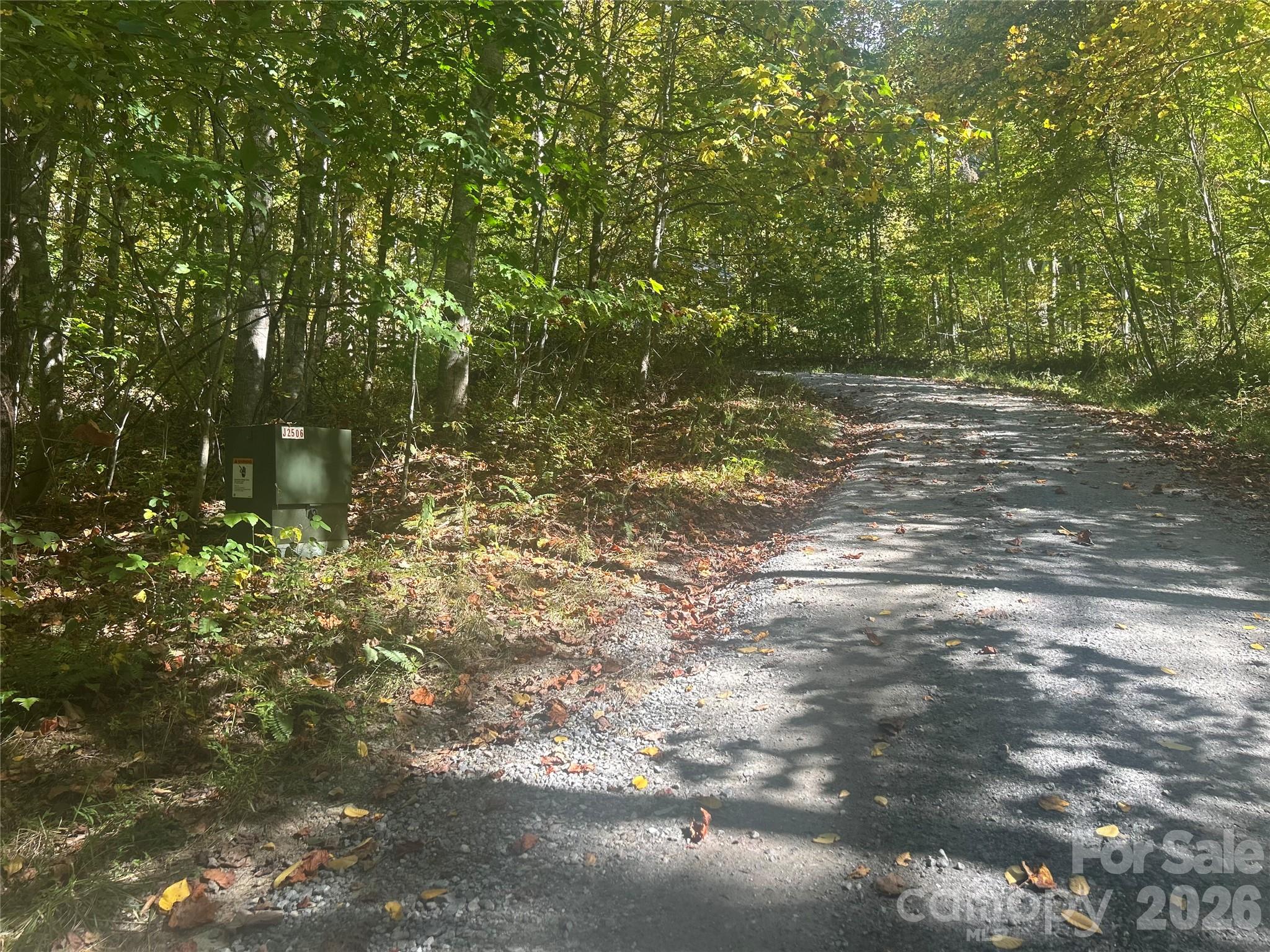 00 Split Pine Cove Property Photo 6