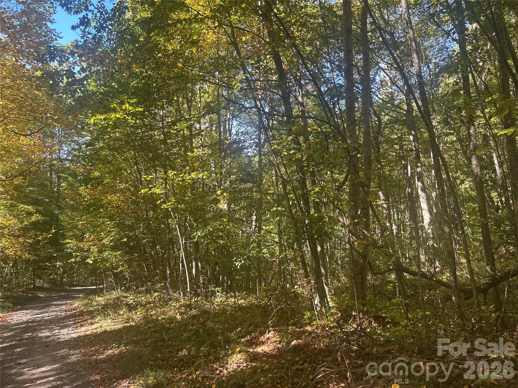 00 Split Pine Cove Property Photo 7