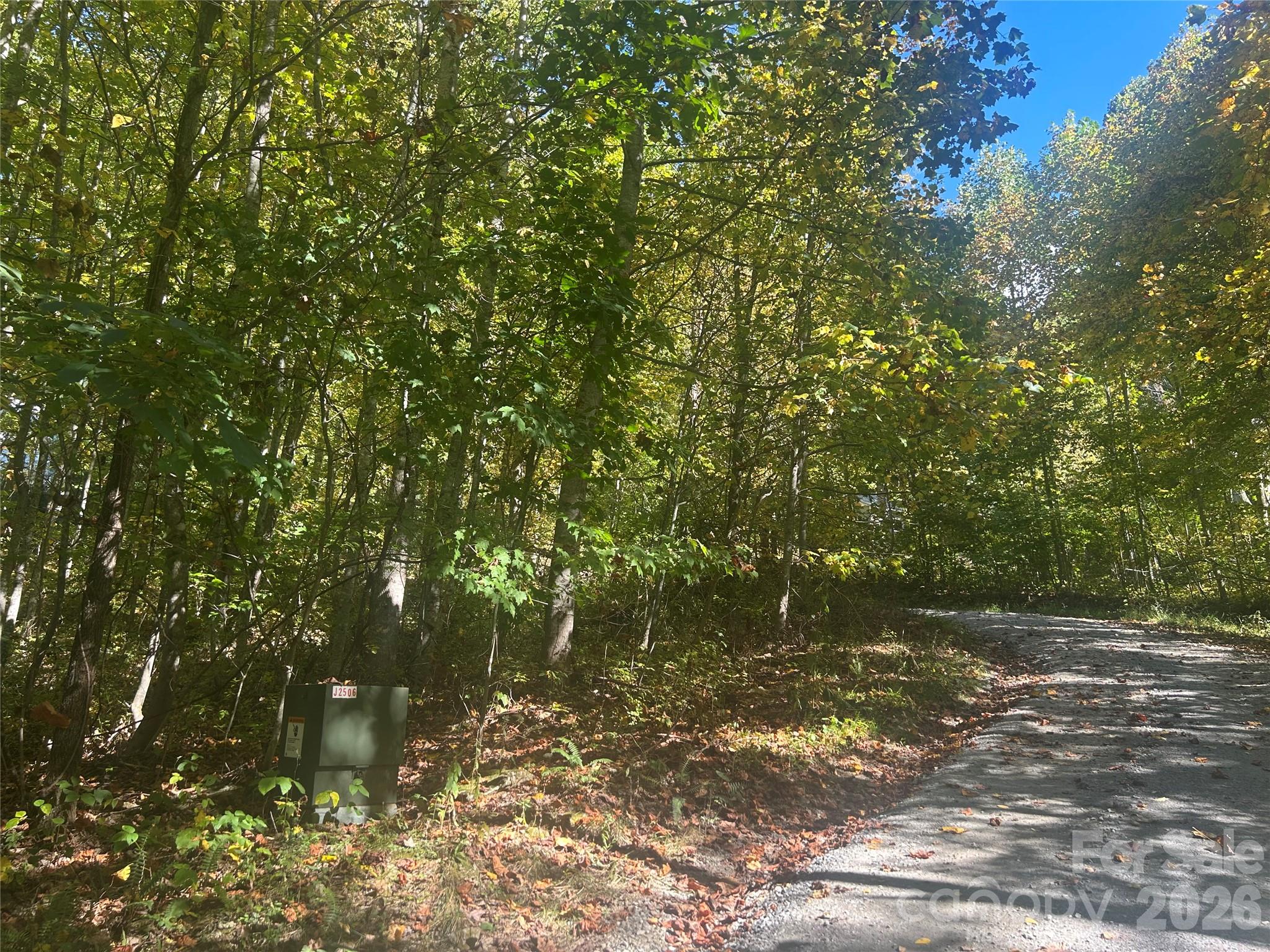 00 Split Pine Cove Property Photo 8