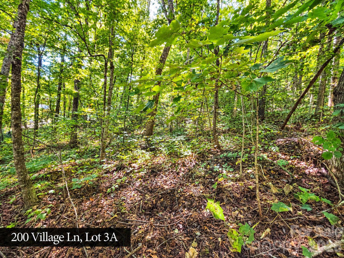 200 Village Lane 3a Property Photo 2
