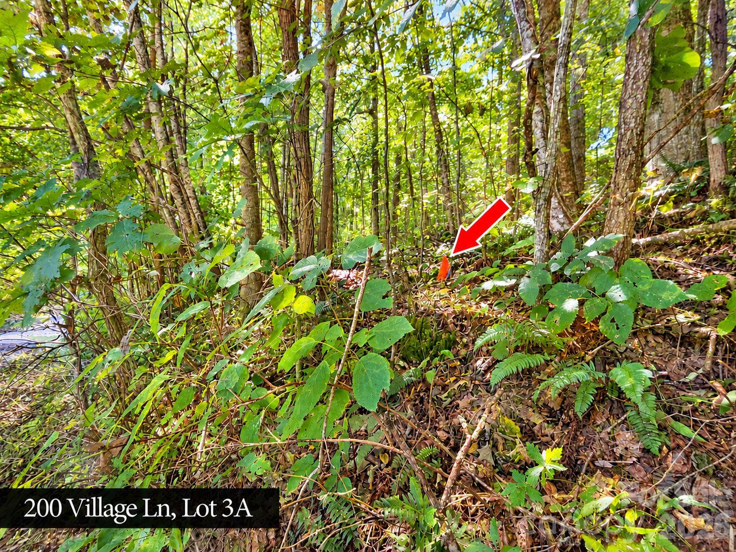 200 Village Lane 3a Property Photo 4