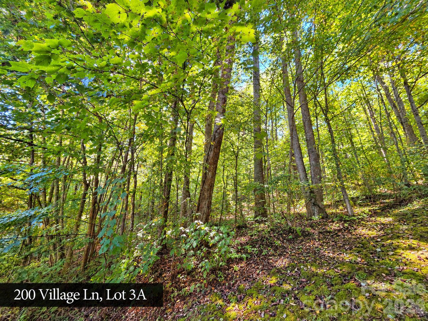 200 Village Lane 3a Property Photo 22