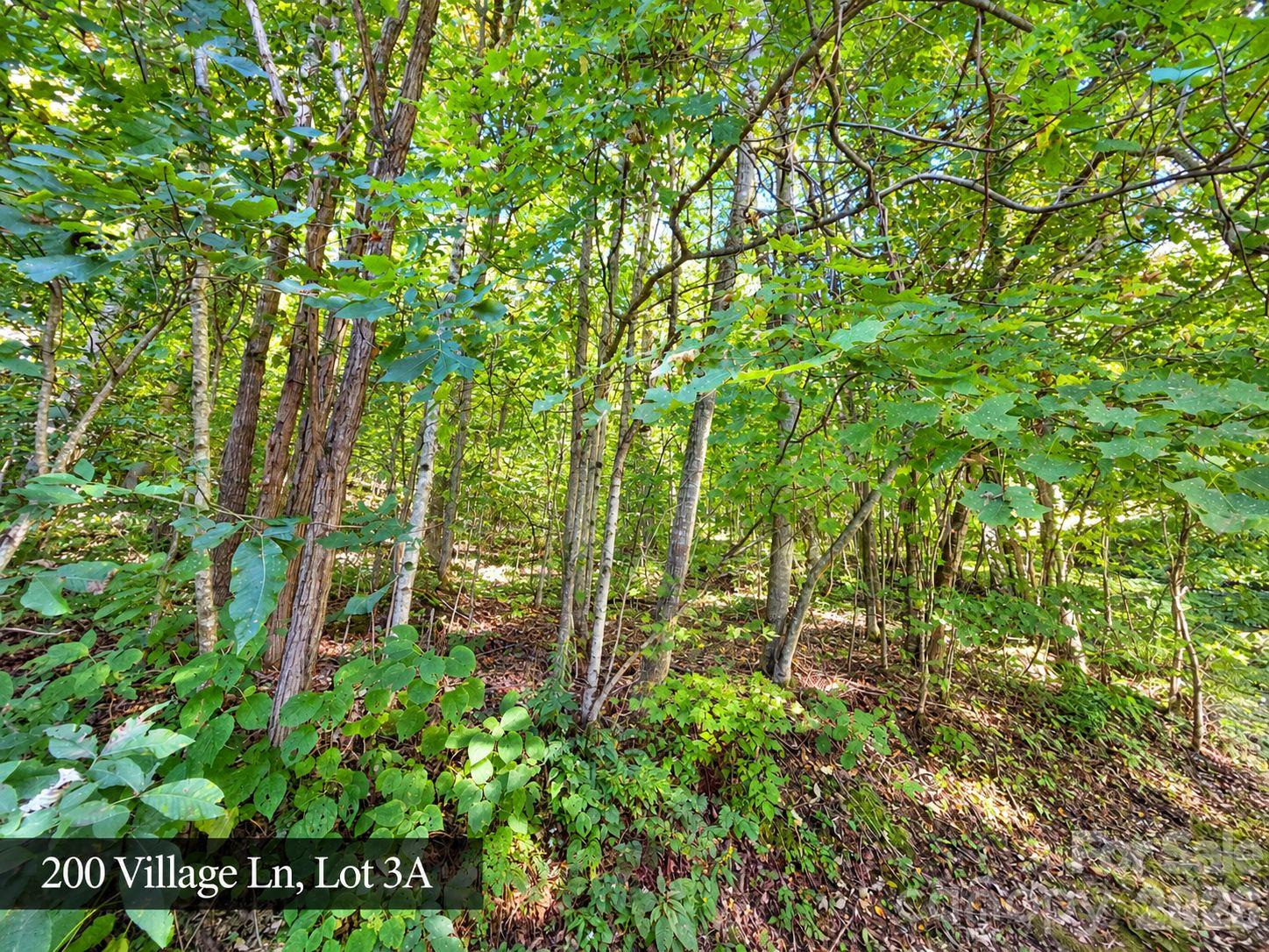 200 Village Lane 3a Property Photo 28