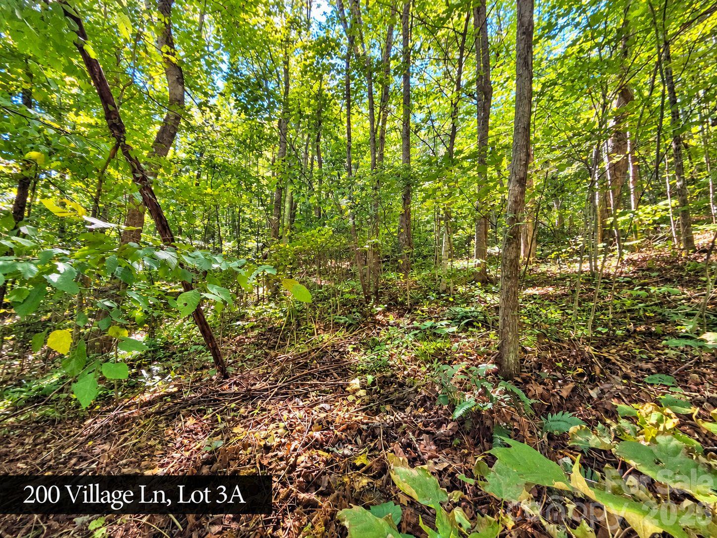 200 Village Lane 3a Property Photo 29