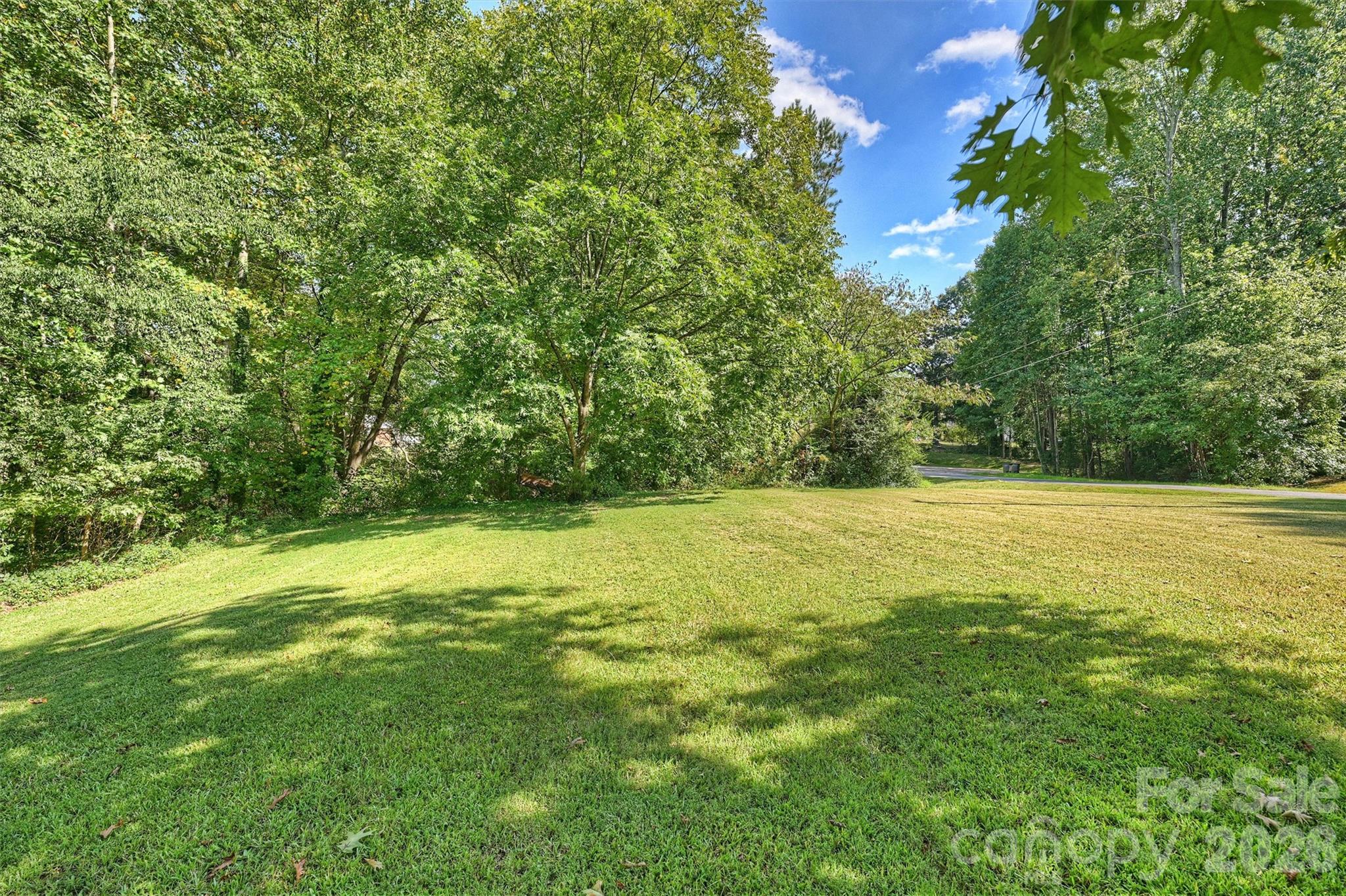 409 Lyndon Street Property Photo 2