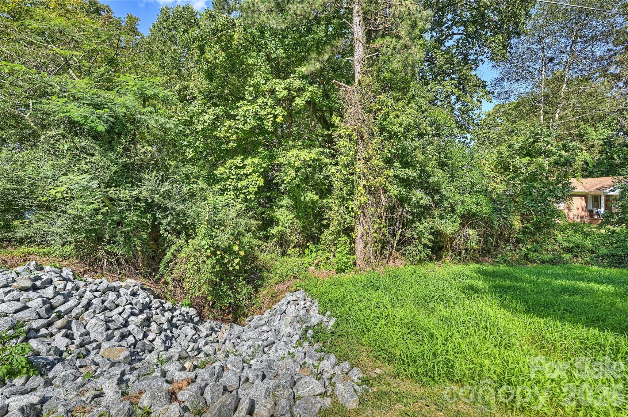 409 Lyndon Street Property Photo 3